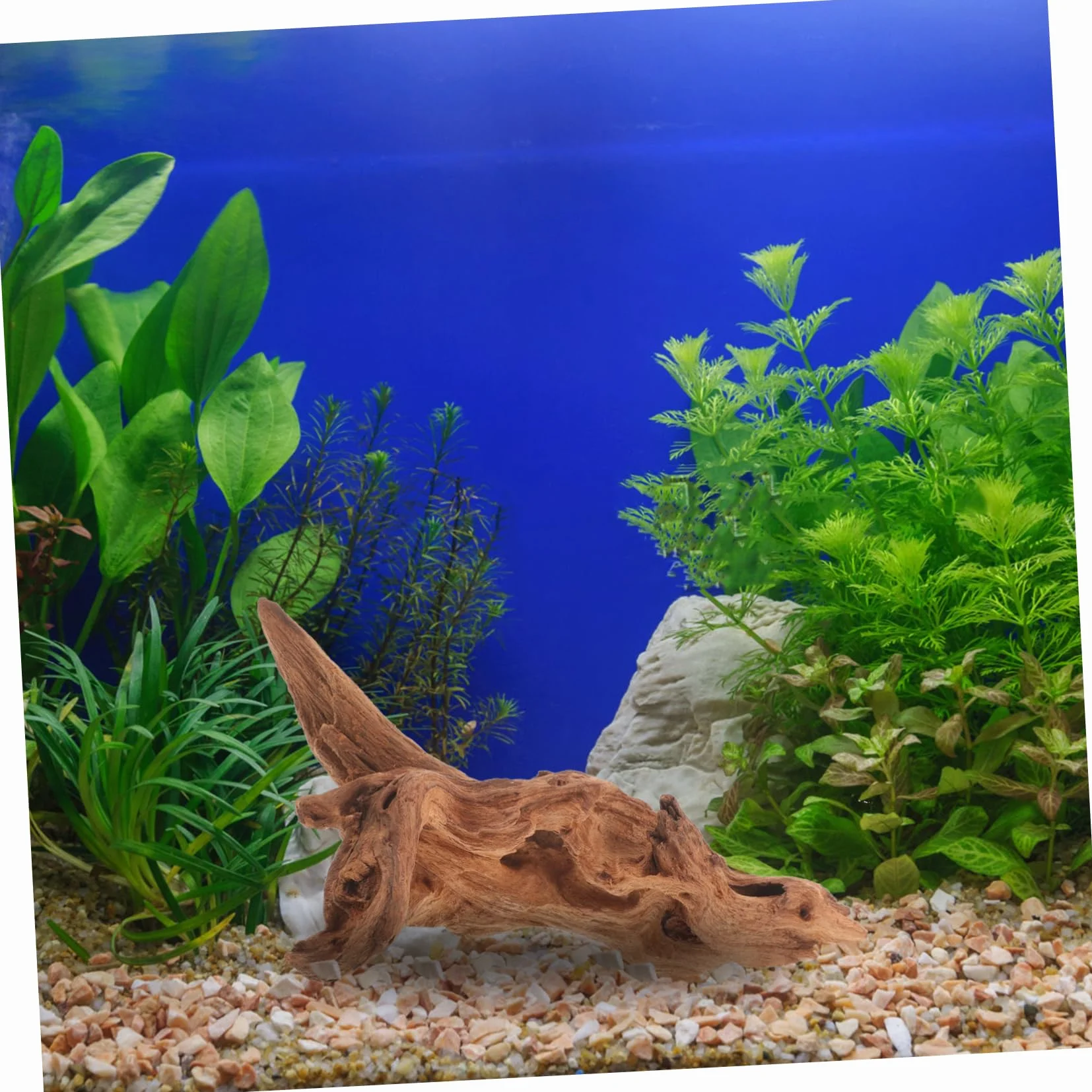 HANABASS Tronco per Acquario Decorazione In Legno Morto Artigianato In Stile Naturale