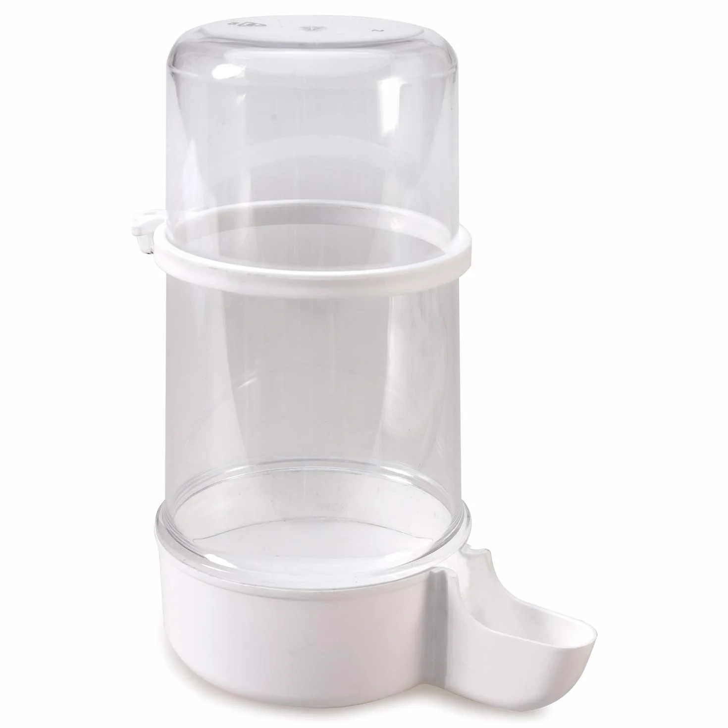 Arquivet Abbeveratoio uccelli 4 con anello
