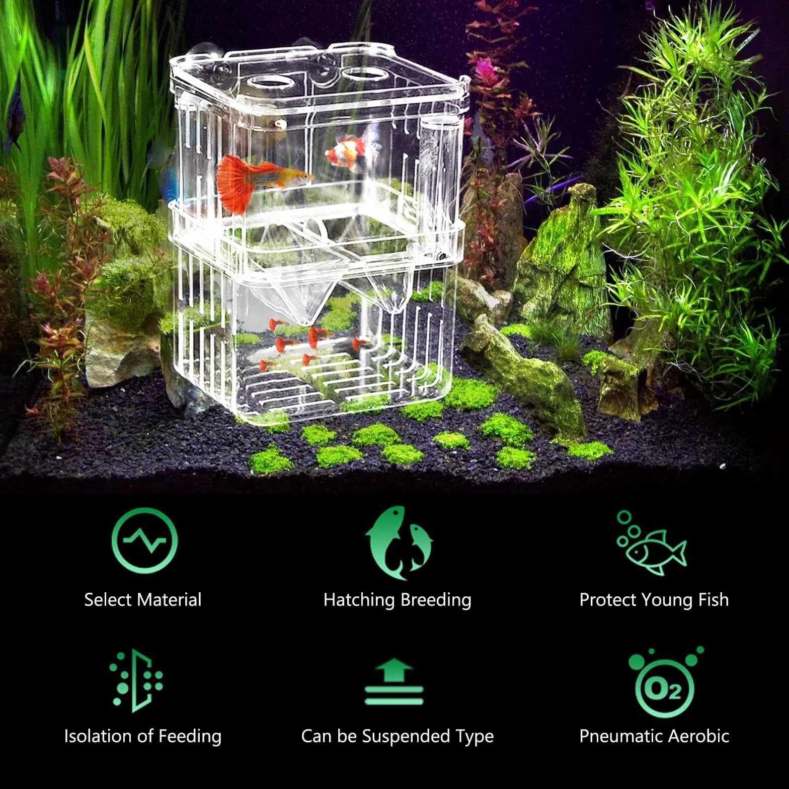 Scatola di allevamento per acquario, 2 pezzi, con ventose per gamberetti, piccoli pesci