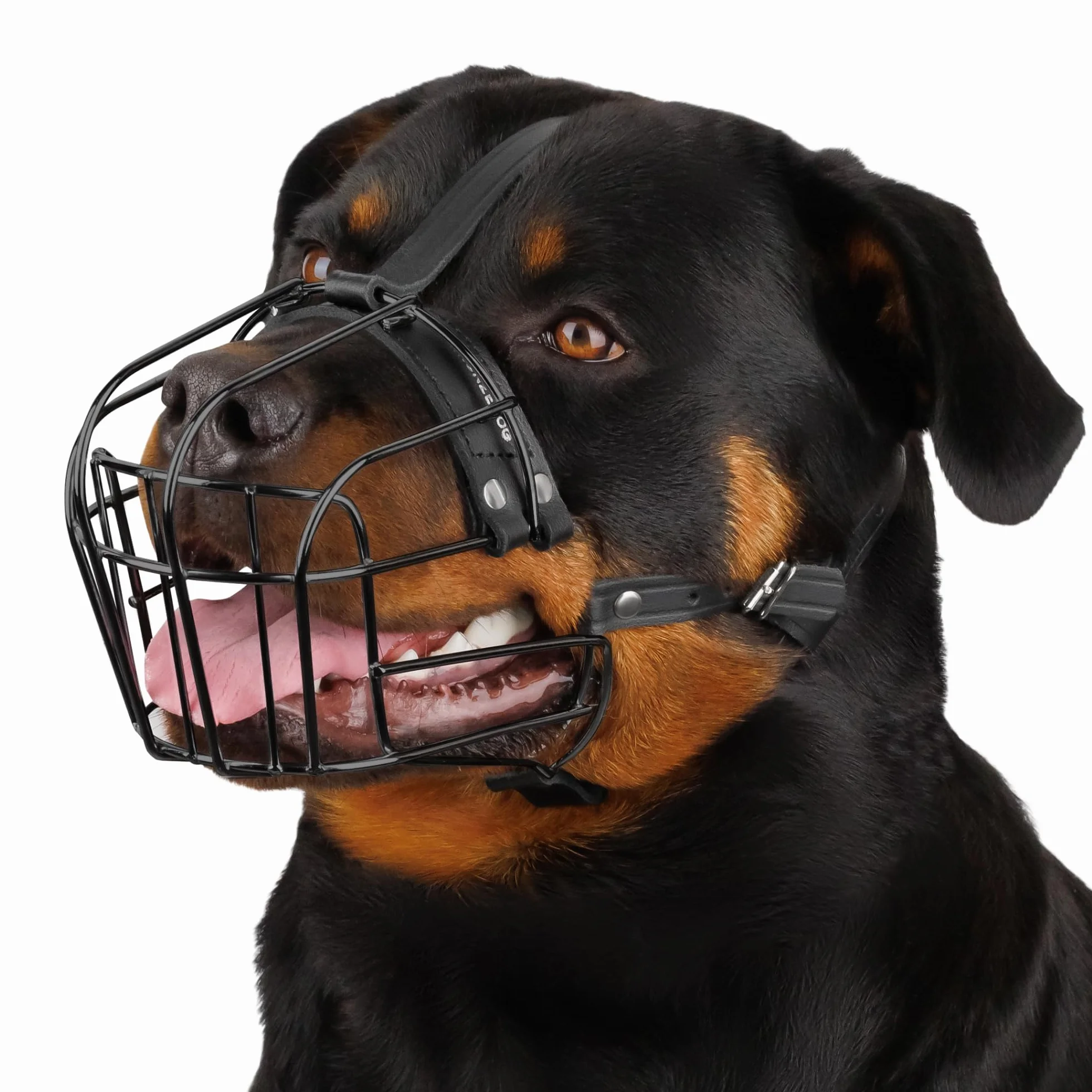 Rottweiler Dog Muzzle (nero)