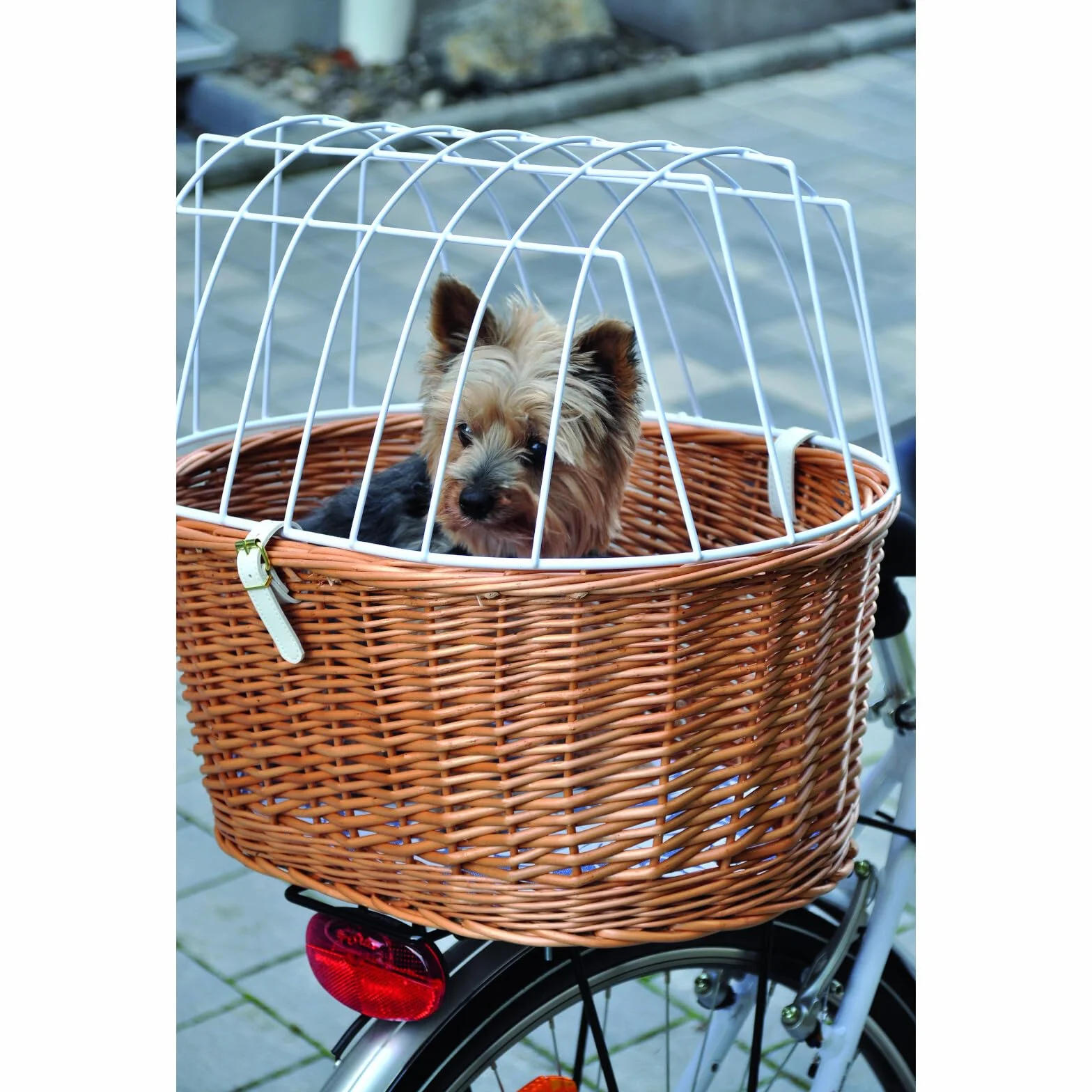 Aumüller Cestino per animali da bicicletta con supporto, lunghezza 52 cm + copertura protettiva – montaggio portapacchi