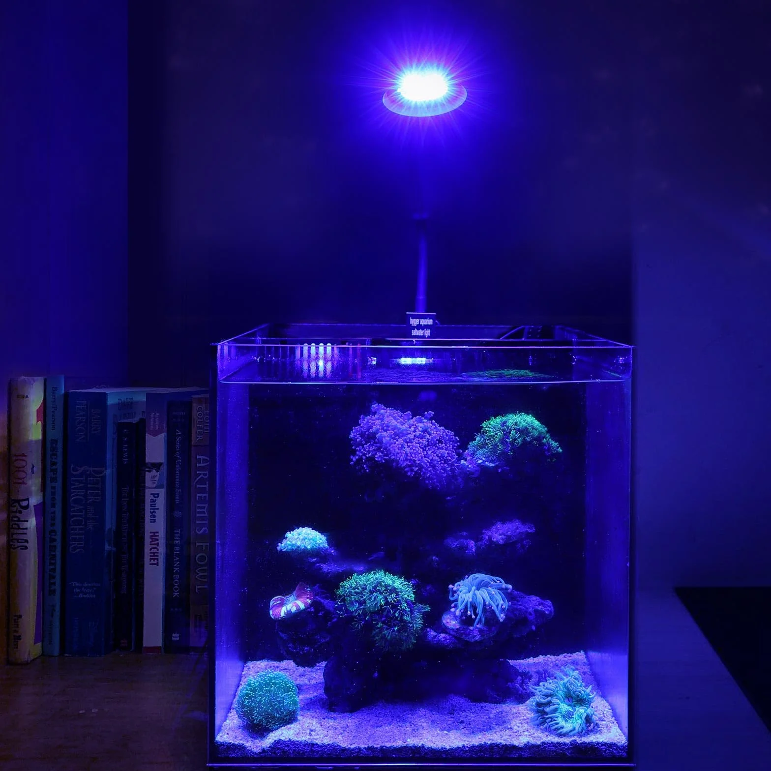 hygger Clip On Luce Led per Acquario di Acqua Salata,30W Illuminazione per Acquario, Luminosità Regolabile Saltwater Aquarium Light con 3 Impostazioni di Temporizzazione per Corallo Acquario Marino