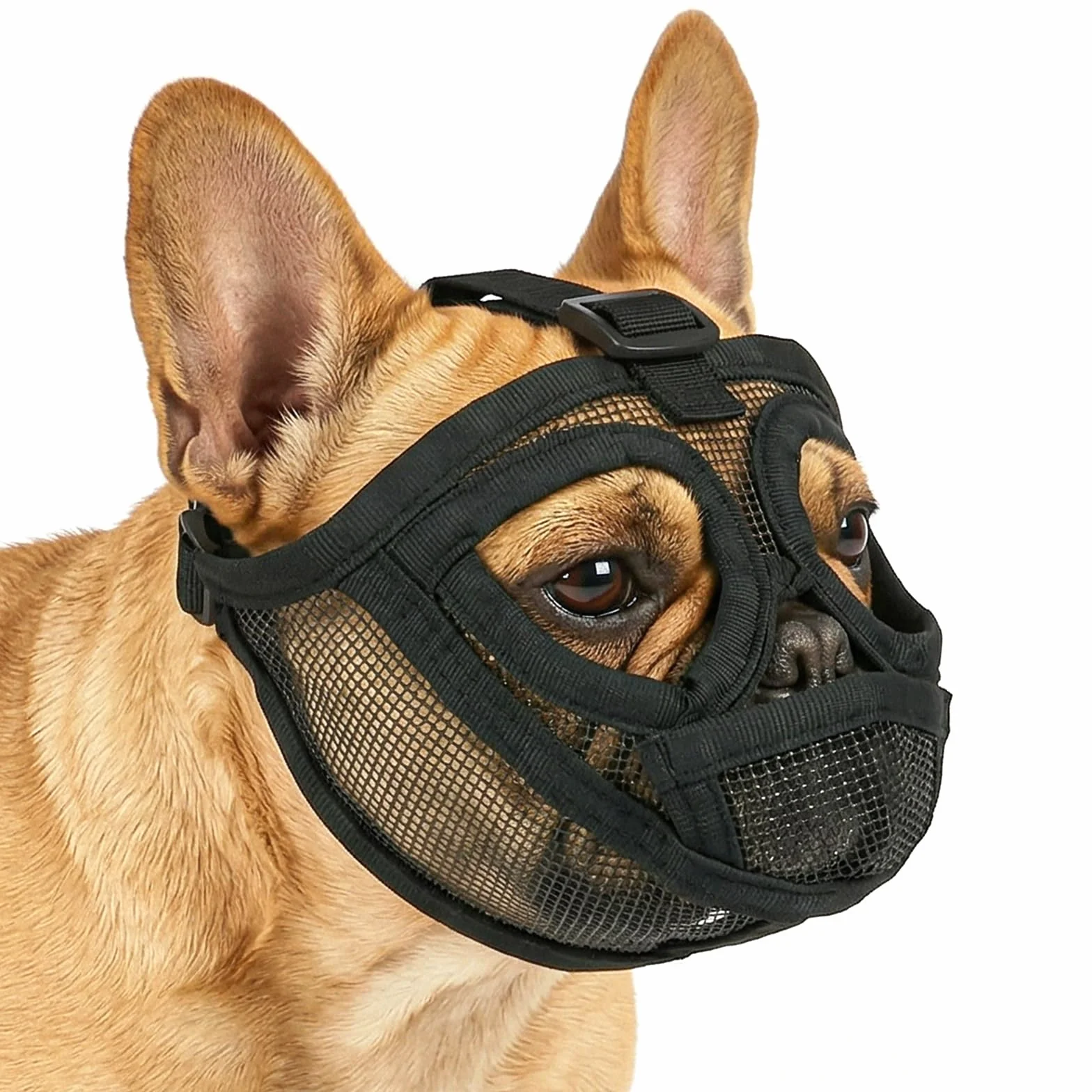 AUAUY Museruola per Cane, Museruola Resistente per Cani, Mascherina in Rete Traspirante, Prevenire i Morsi alla Corteccia, Museruolas per Shih Tzu e Bulldog inglesi, Acqua e Cibo Consentiti (Nero, S)