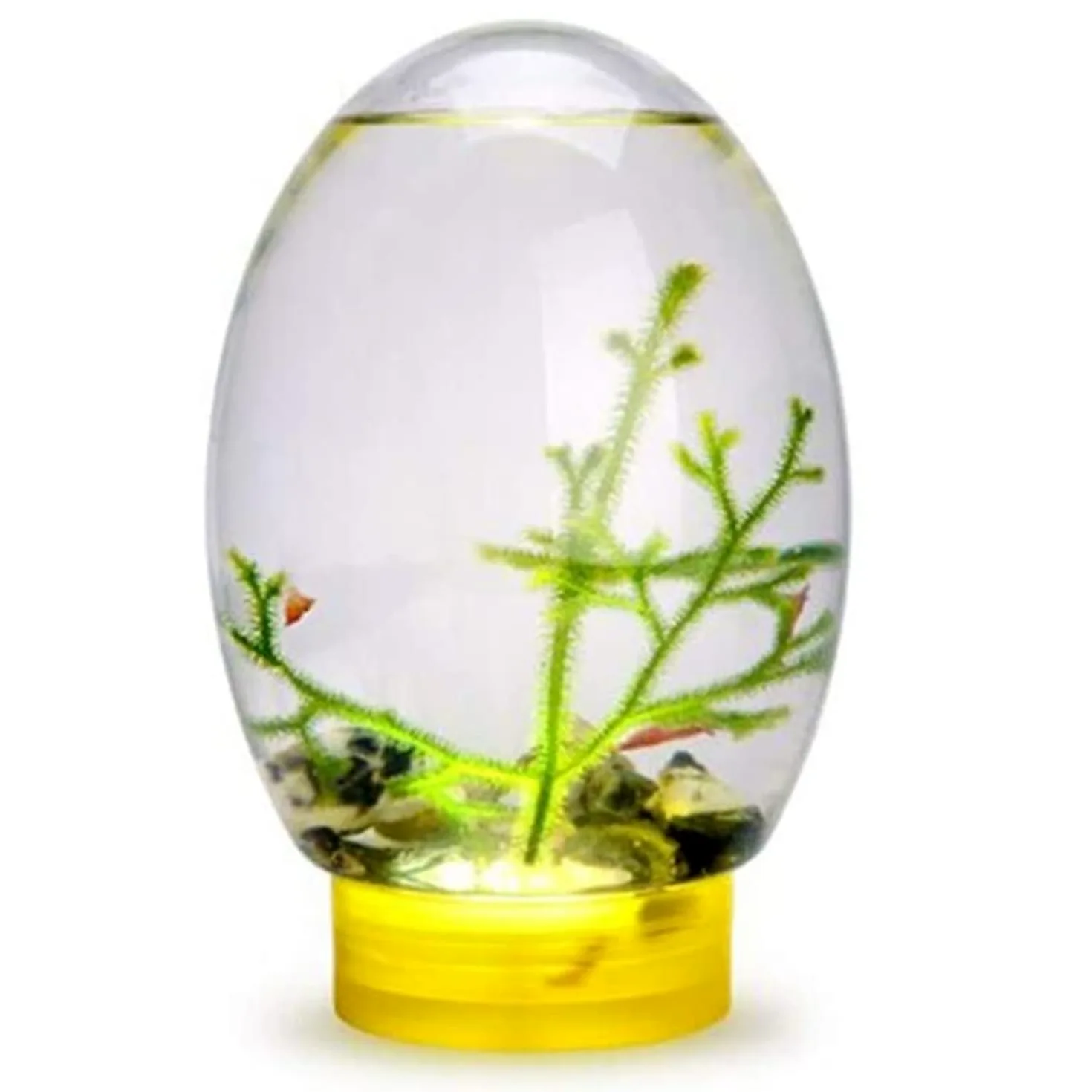 Acquario desktop con ecosistema acquatico chiuso, ecosfera per acquario piccolo, con illuminazione a LED, albero di ferro marino, conchiglia