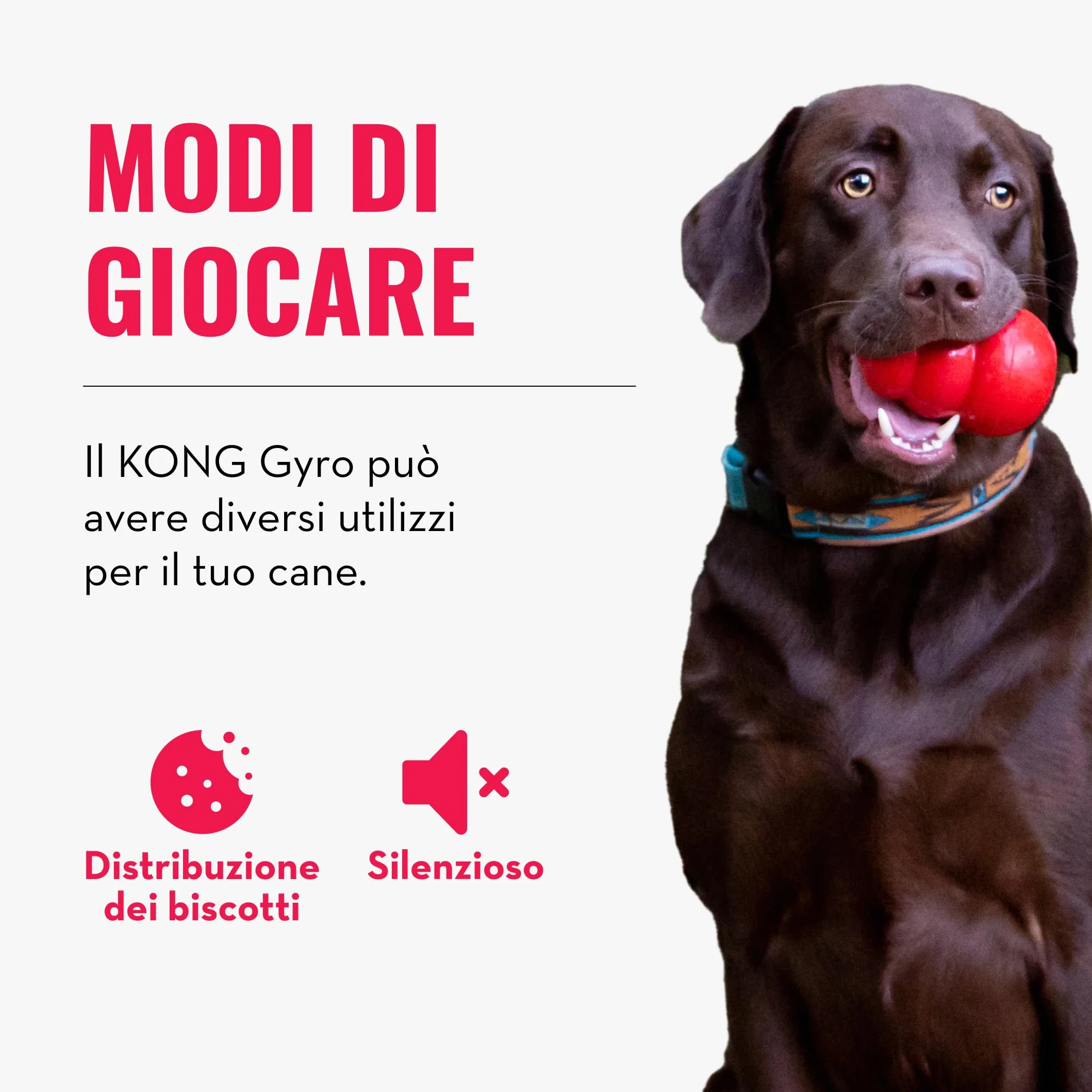 Kong - Gyro - Giocattolo interattivo per Cani di Taglia Grande