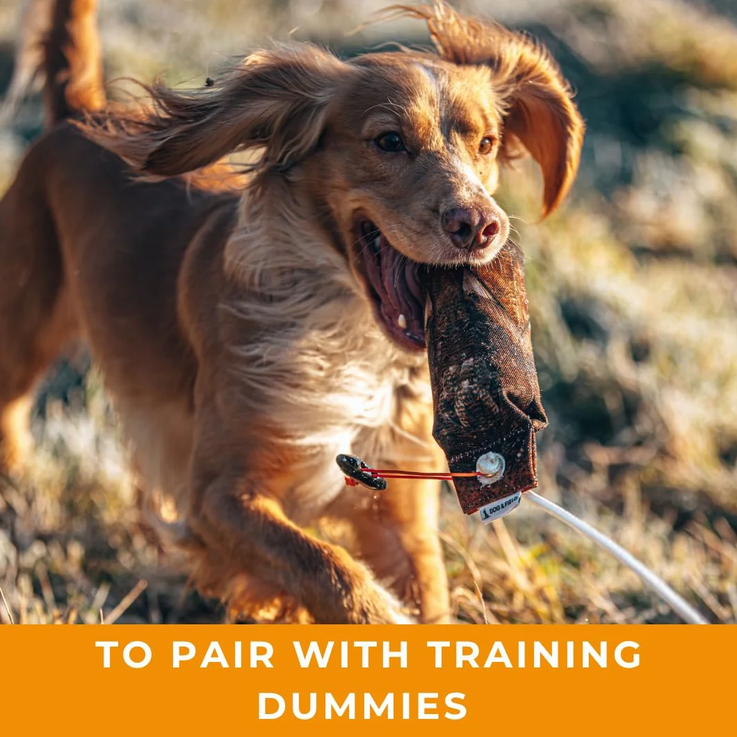 Dog & Field The Original Clone Dog Training Scents Gundog & Scent Training con fagiano, anatra, coniglio e gallo cedrone liquido profumato (anatra, 120 ml)