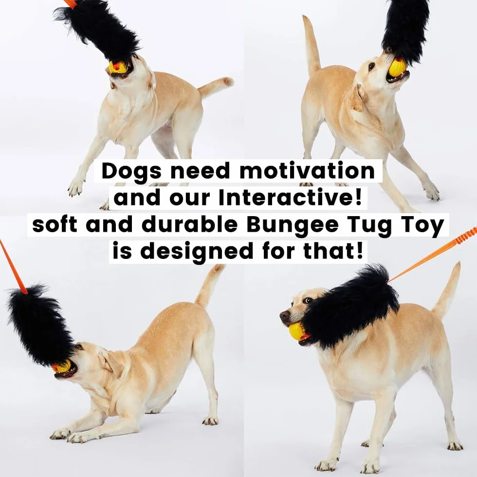 HOWGO Giocattolo per cani con corda, Giocattolo Bungee Chaser per cani 100% pelle di pecora, Giocattolo da tirare con odore di pecora per tutte le razze (Nero, Corto Senza Palla)