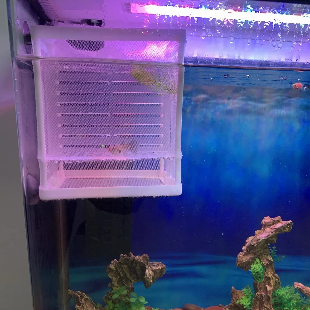 Scatola di Allevamento di Pesci,Incubatore di Pesce Acquario Doppio Strato Scatola di Isolamento Allevatore di Pesci Acquario Nursery Isolamento Rete con Ventosa per acquario (Bianco)