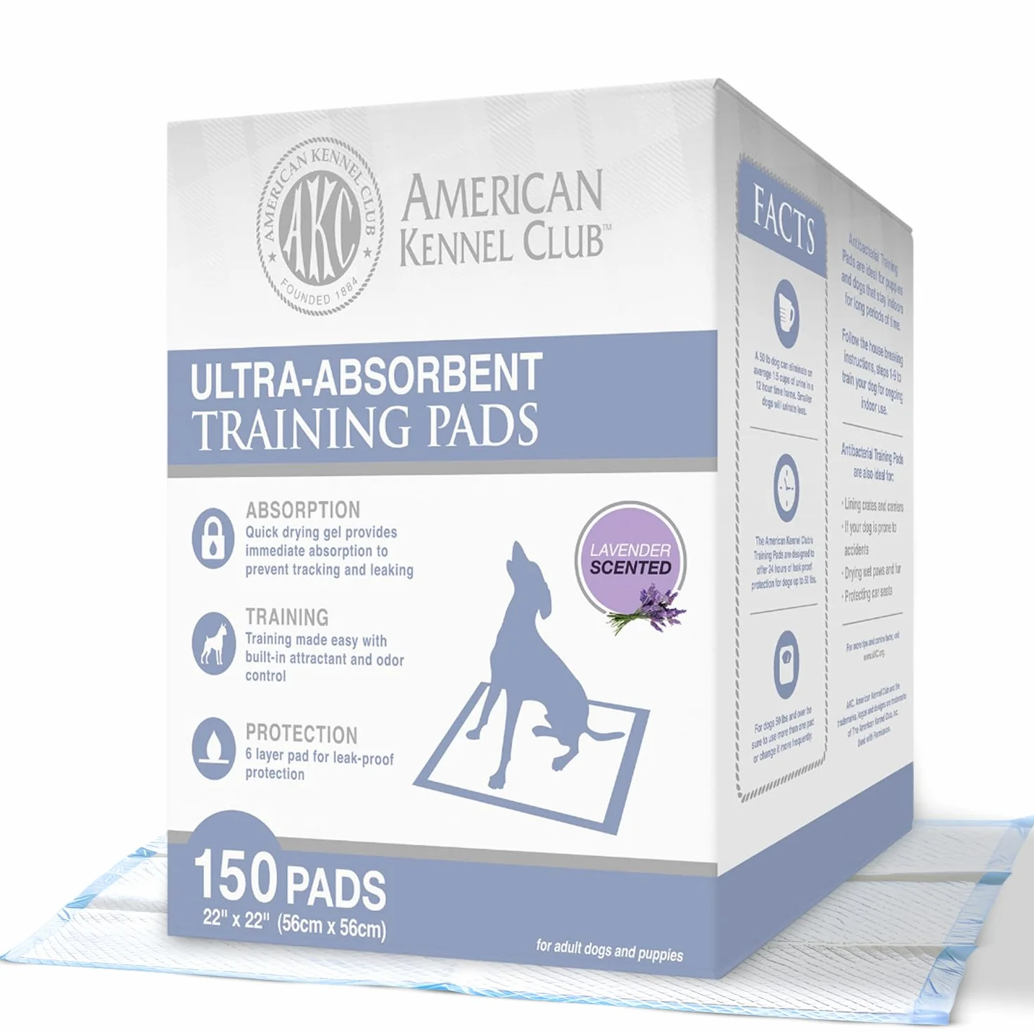 American Kennel Club Akc per addestramento