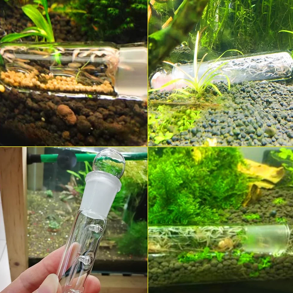 2 trappole per planari efficienti, 3 fori, vetro trasparente Planaria Trap per serbatoio di pesce, acquario, vetro trasparente Catcher Trap (riutilizzabile)