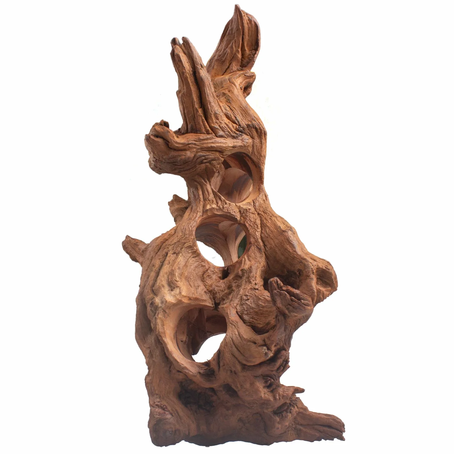 emours - Rami naturali porosi per acquario, rami di driftwood per paesaggio acquatico con fori, gallerie e nascondigli selezionati a mano, paesaggio acquatico, decorazione per terrario per rettili