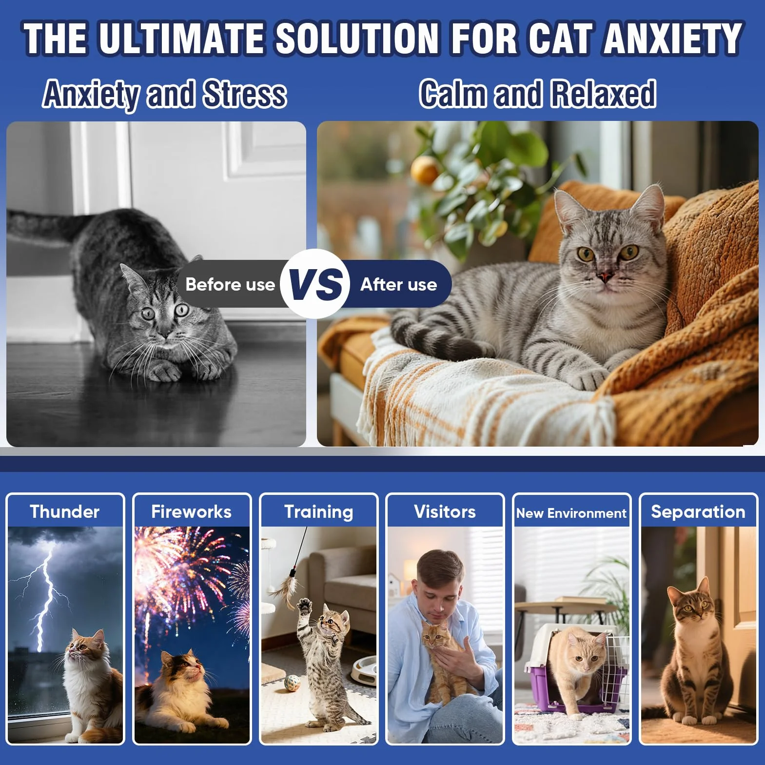 Feromoni Gatto Calmante 3 IN 1 Per Gatti Diffusore Di Kit Felini Rilassanti E Tranquillante Irrequieti Tranquillanti Antistress Repellente Gocce Calmanti Insapore（1 Tappo + 2 Ricariche Da 48ml）