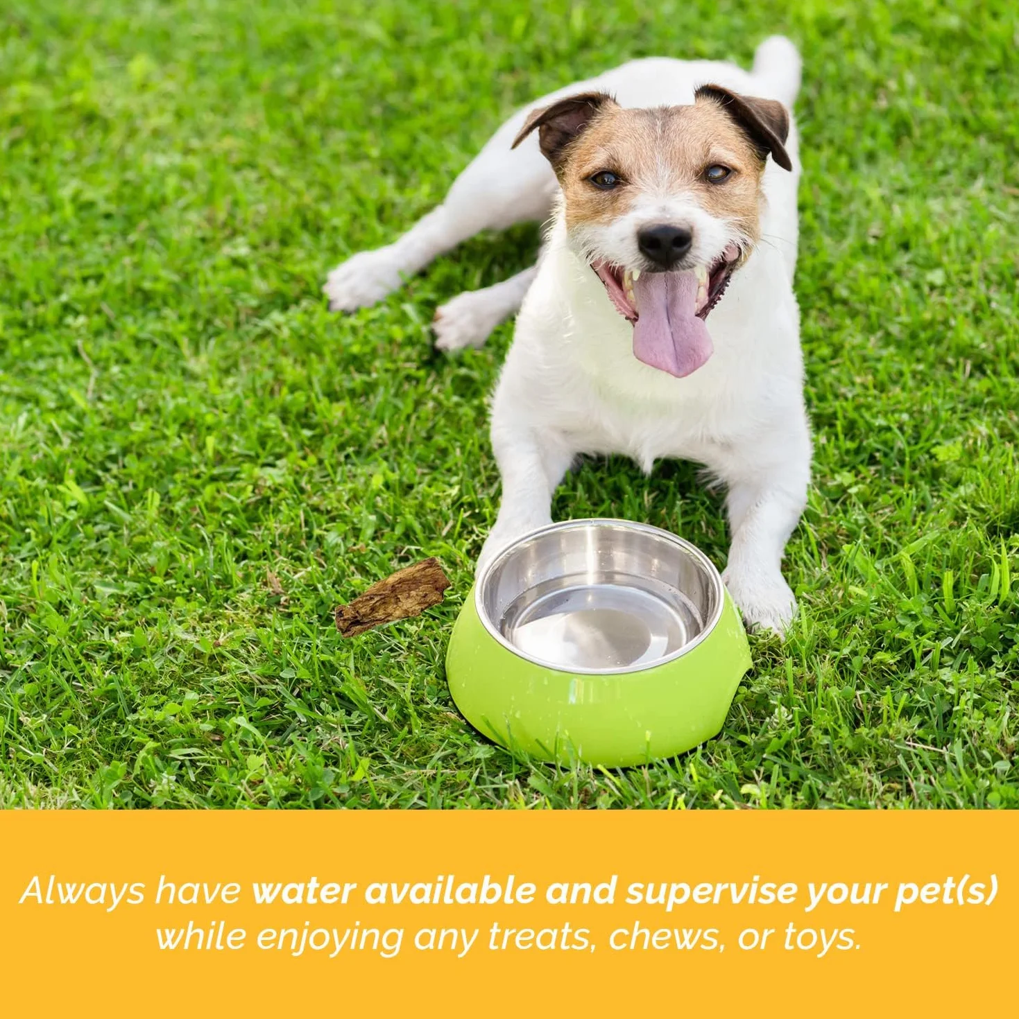 123 Treats Orecchie di Coniglio con Pelo tutto naturale Bocconcini da masticare per cani (1 Kg)
