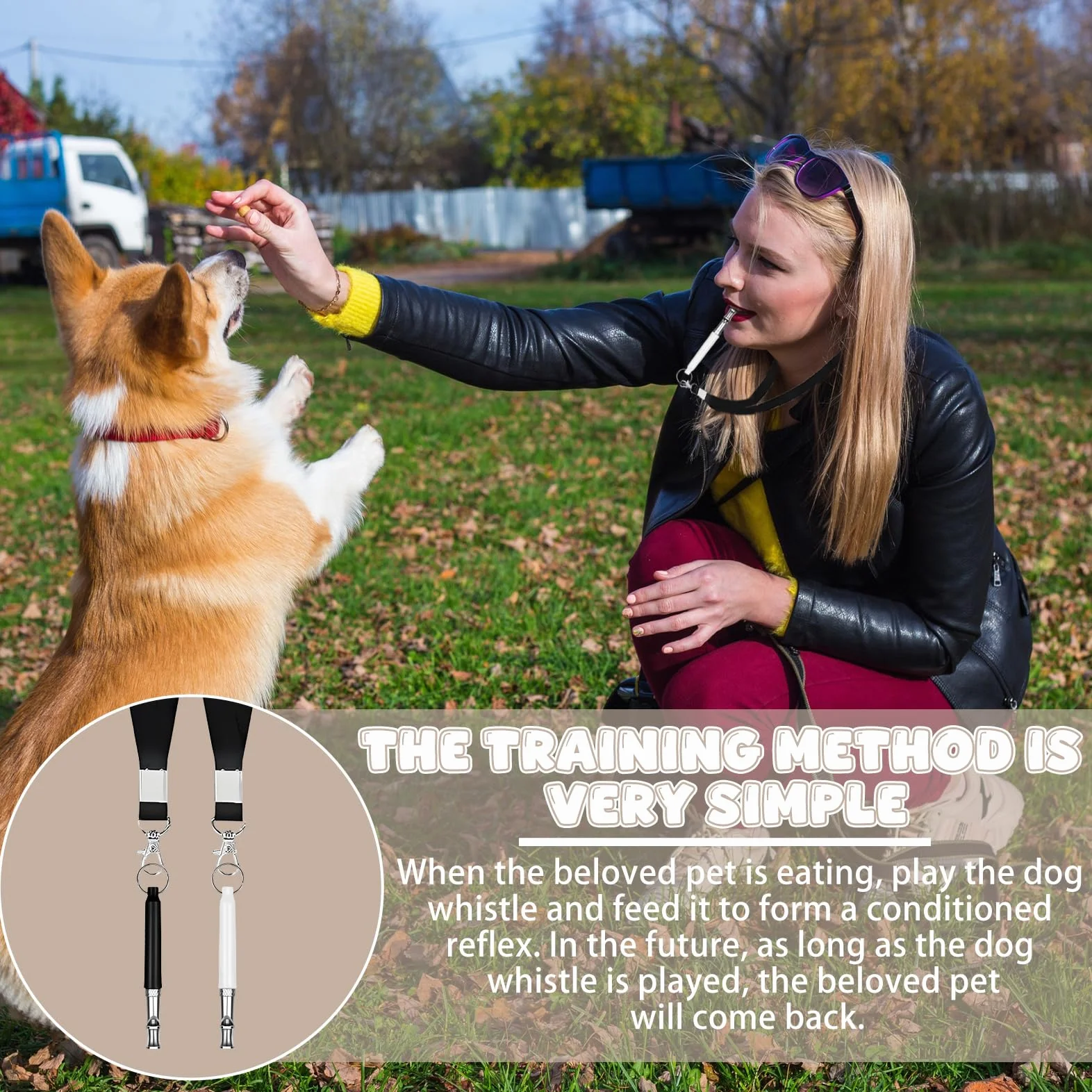 Fischietto Ultrasuoni per Cani con Clicker Fischietto per Cani con 2 Cordini Forte e a Lungo Raggio Fischietto per L'addestramento del Cane Adatto per la Maggior Parte delle Razze