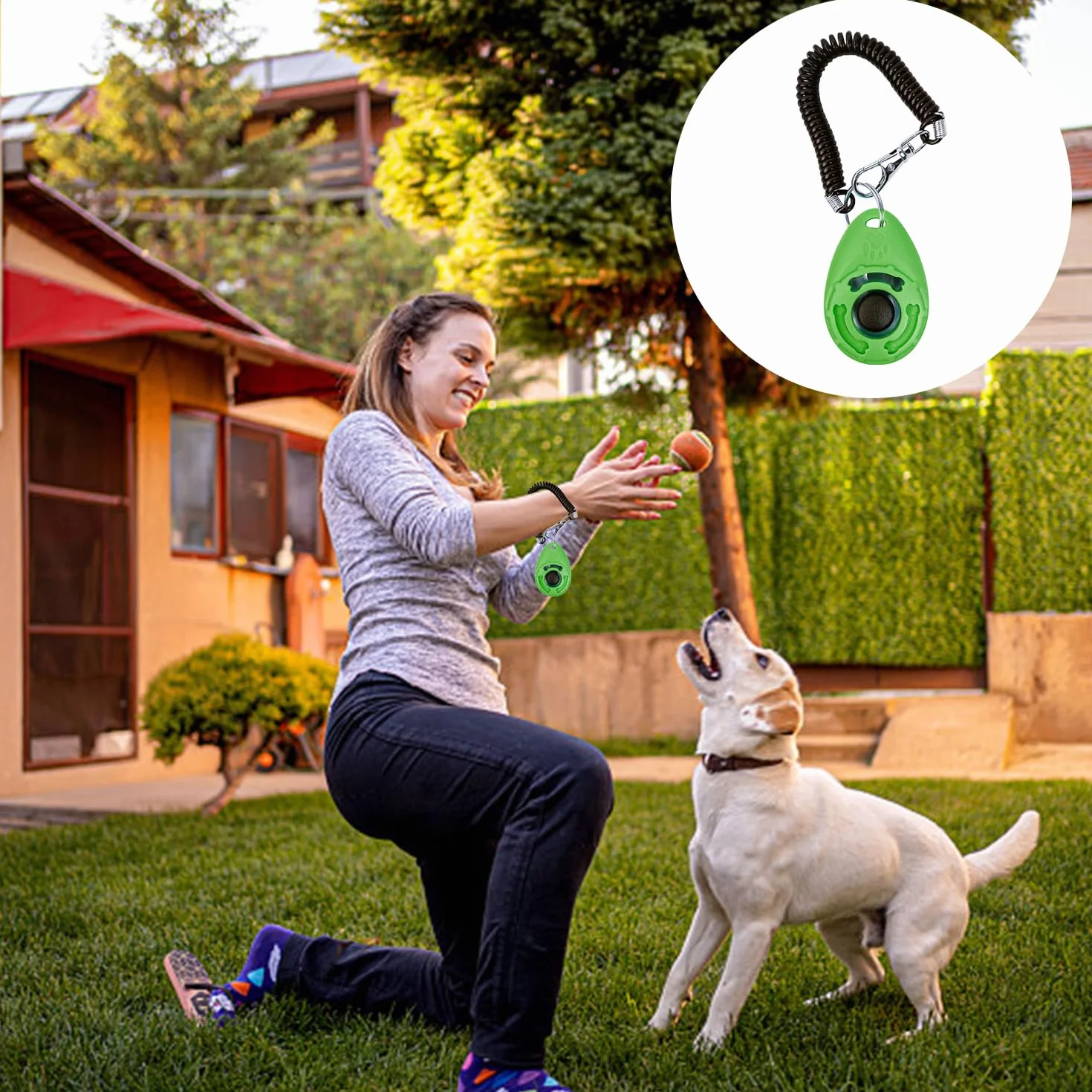 6 Allenatore per Animali Domestici, Strumenti per Gli Aiuti per Addestramento per Cani, Clicker di Addestramento per Cani, Forniture per Animali Domestici (Multicolori).