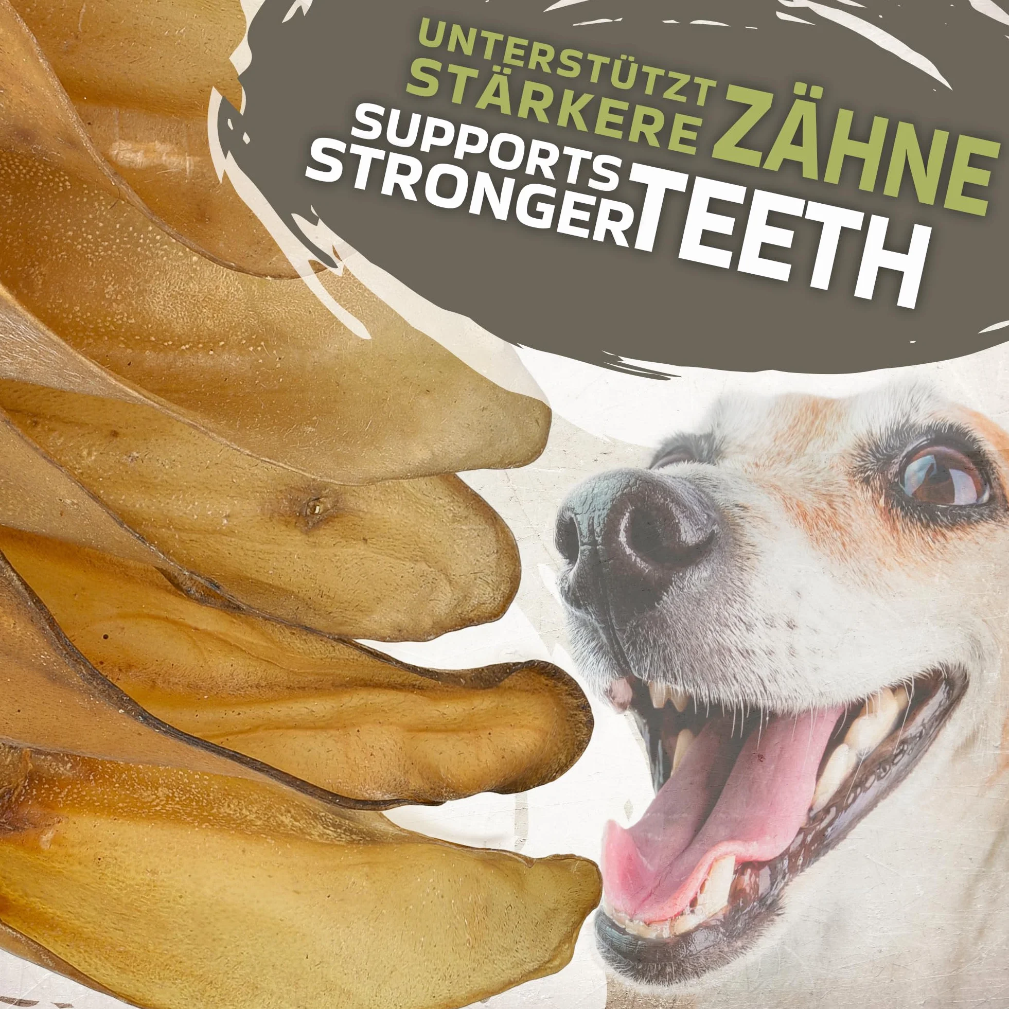 Orecchie di manzo naturali con conchiglie per cani, 10 pezzi (700 g) | Snack naturale indiano al 100% di manzo | Lungo piacere di masticazione e cura dei denti | Senza additivi