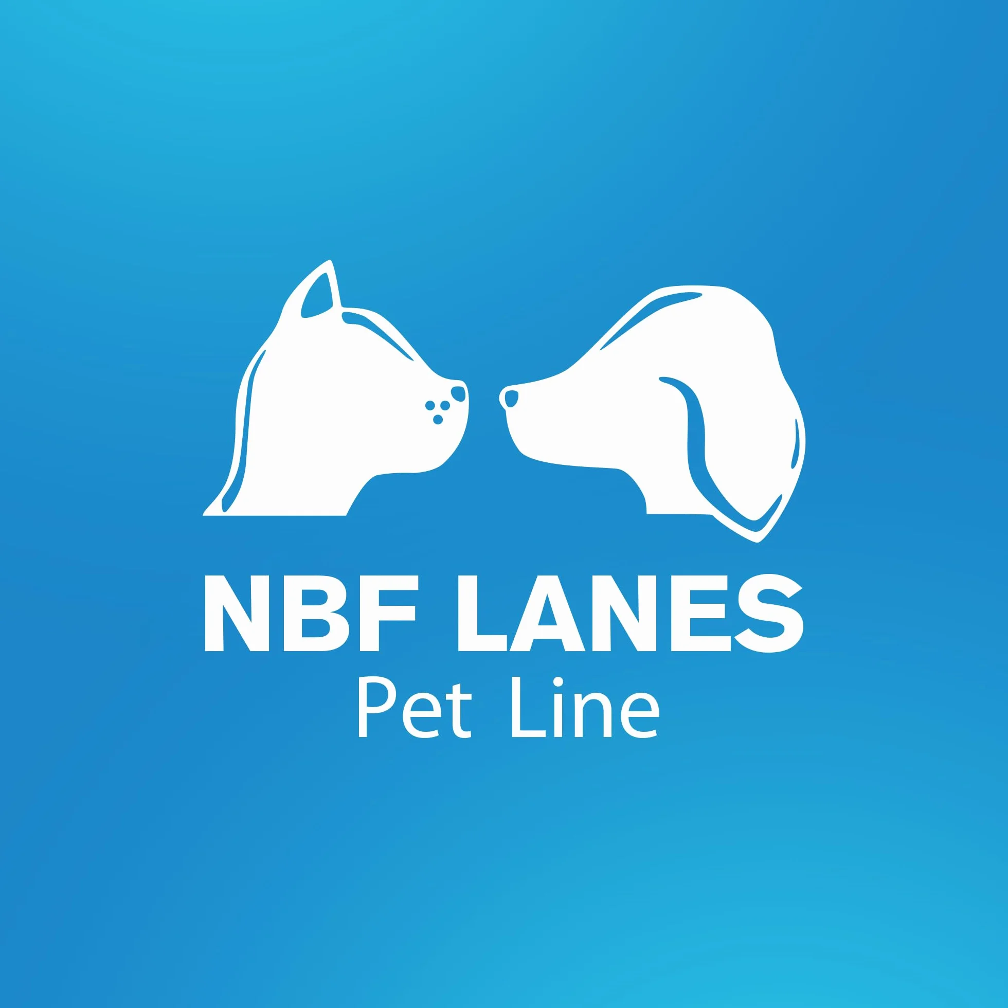 NBF Lanes | Artikrill Gatto, 30 Perle Appetibili, Supporto Metabolismo Articolare in Caso di Osteoartrite in Gatti di Tutte le Età