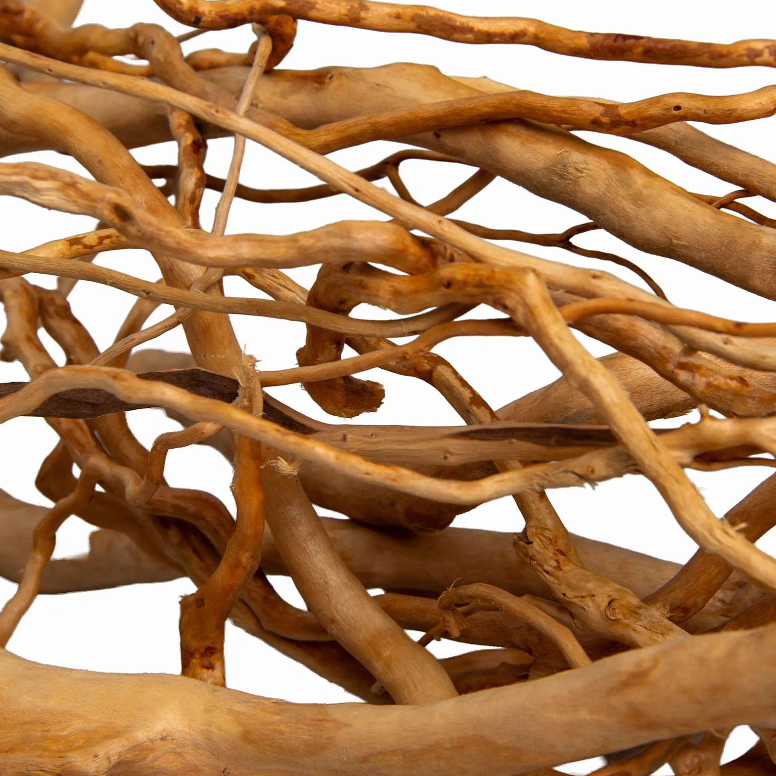 emours - Rami naturali per acquario, [170g] (40–80 cm / 16–32 pollici) - Rami unici di radice/ragno in legno per acquari, vasche con piante e terrari, decorazione per pesci e piante, ogni pezzo unico