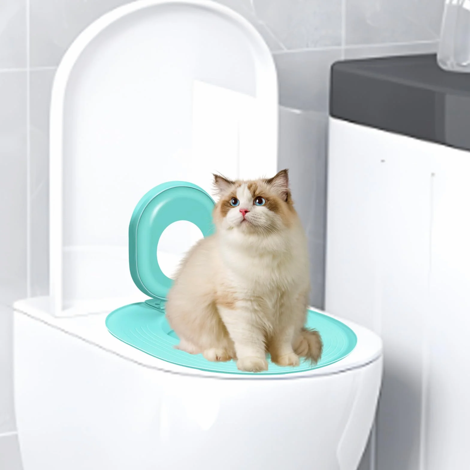 Toilet Letting Box Trainer - Kit Di Allenatore Per Gatti Per Gatti, Vasino Di Sedile Orinatoi Riutilizzabili | Allenatore Di Igiene Cat Per Per Animali Domestici, Strumento Di Allenamento Con
