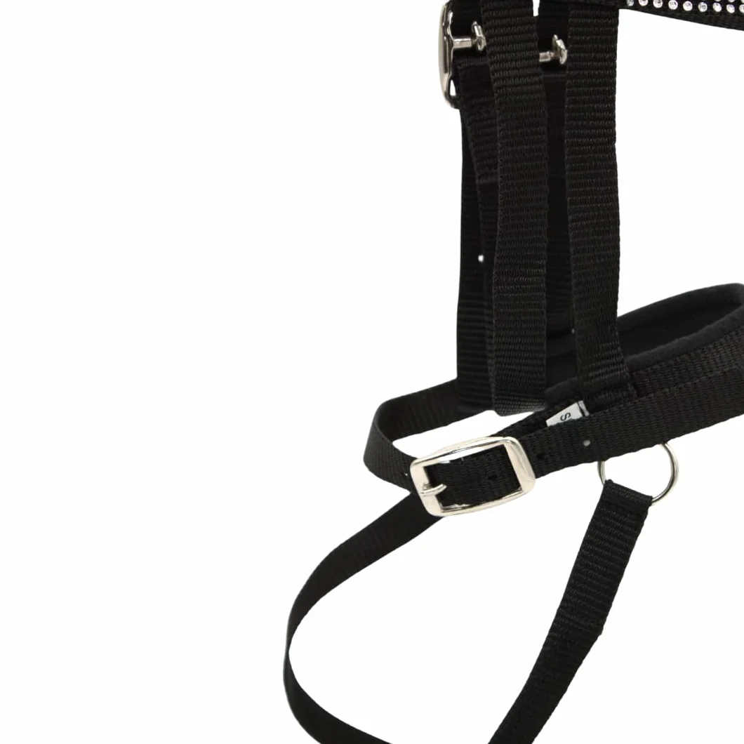 PFIFF- Briglia, Colore Nero, 103126