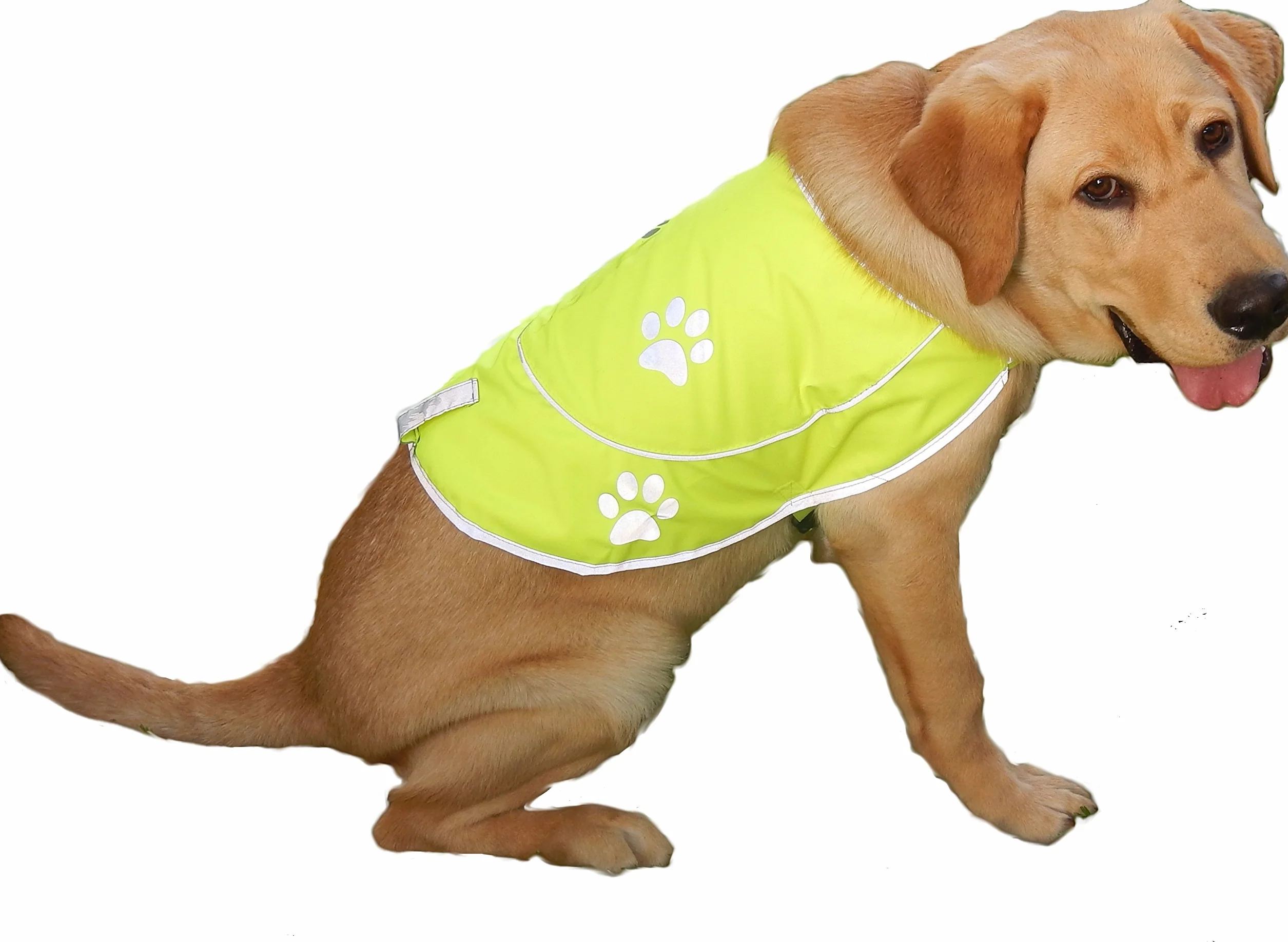 Gilet riflettente per cani, comoda giacca di sicurezza per caccia, ad alta visibilità per cani, con cinghie elastiche e chiusura a fibbia, arancione, XXL