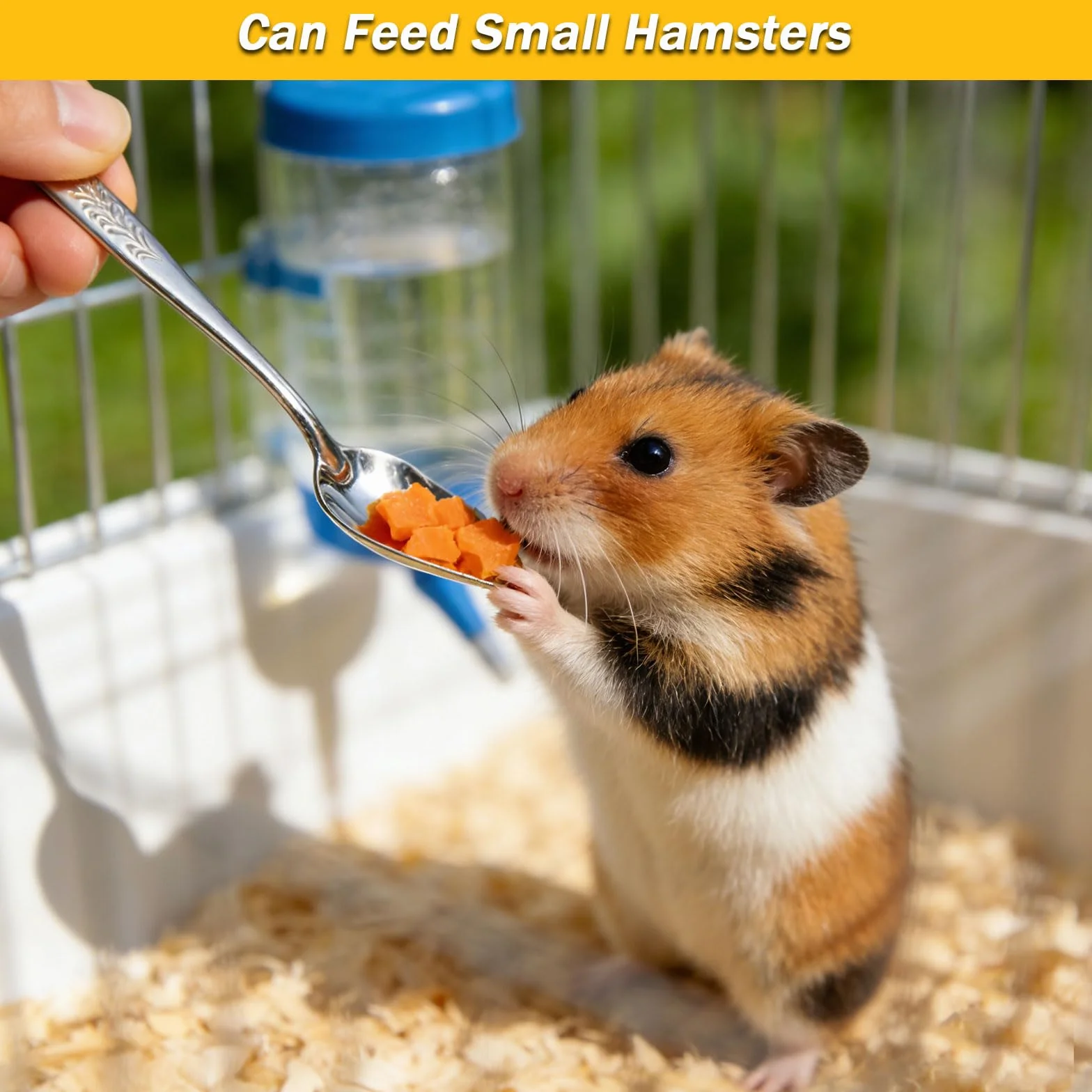 16 Pezzi Alimentatore Pappagalli, Siringhe 10 ml Trasparente Uccelli Alimentazione, Siringhe per Uccelli Giovani, per Rettili e Piccoli Animali Domestici per L'alimentazione Liquida