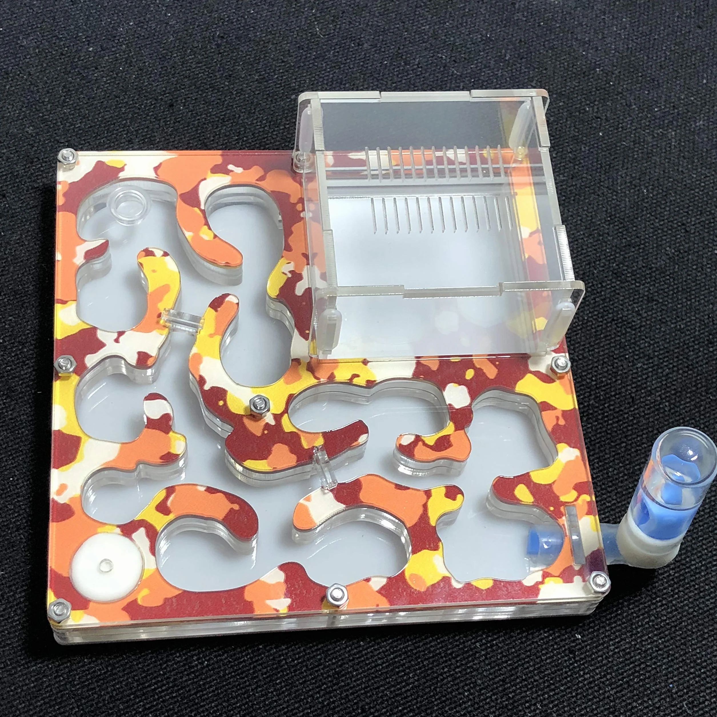 140 x 140 mm di spazio mimetico formicaio formicario formicario formicario educativo con idratazione e acqua per formiche LIVE (camouflage autum)