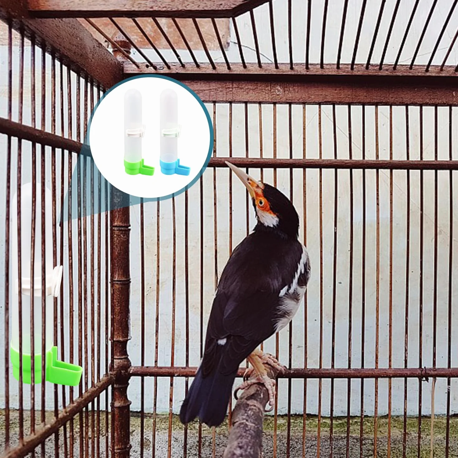 2 Bevitori di Acqua per Uccelli E 1 Giocattolo Altalena, Accessori per Gabbia per Uccelli, Forniture per Animali Domestici, Alimentatore d'Acqua Automatico.