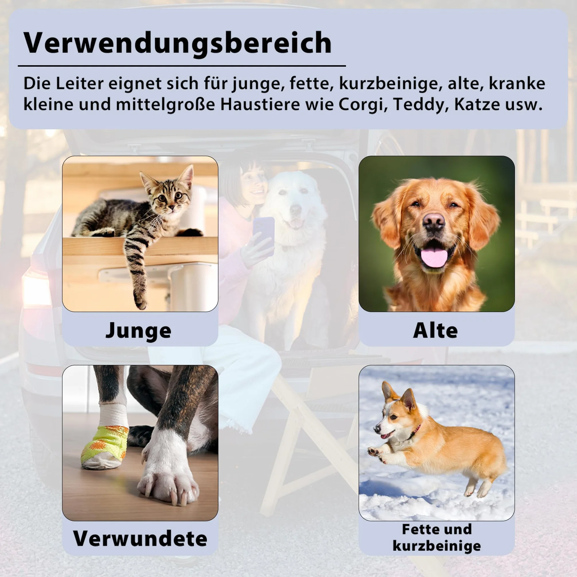 FIVMEN Scaletta per cani 2 in 1 Rampa per cani in legno pieghevole Regolabile in altezza con tappetino antiscivolo Scaletta per animali domestici per letto e divano, 100x47x63cm