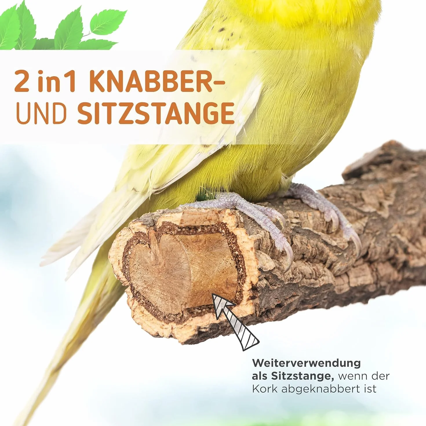 Vogelgaleria® 2 posatoi in sughero con corteccia di sughero per sedersi e sgranocchiare, per uccelli e uccelli, per la cura degli artigli, in sughero