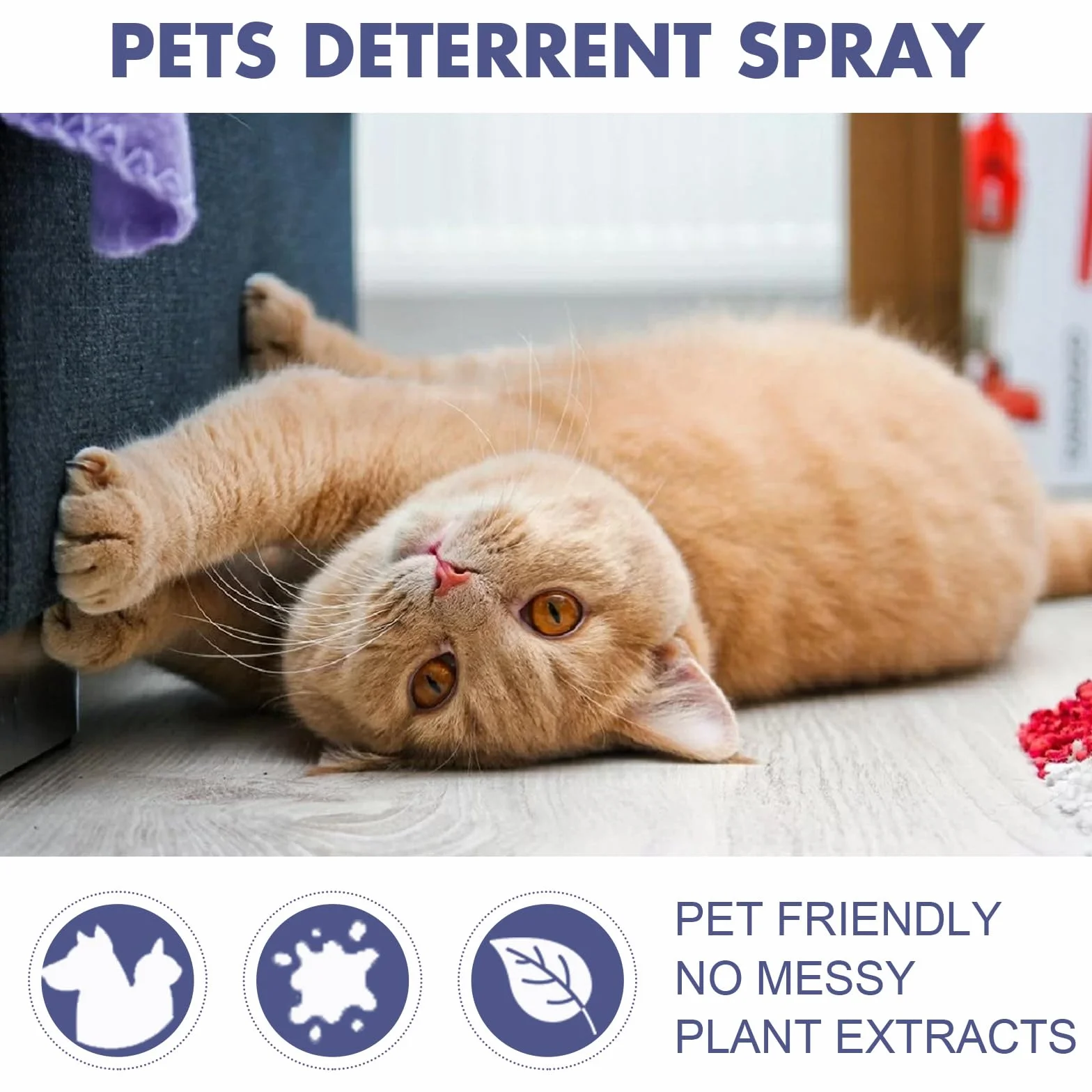 Spray AntiGraffio per Gatti,Gatto Anti Scratch Spray,Spray Anti-Masticazione,Spray AntiGraffio Gatti Divano,Gatti Cani Spray Amaro,Naturale Efficace Cane Anti Scratch Spray