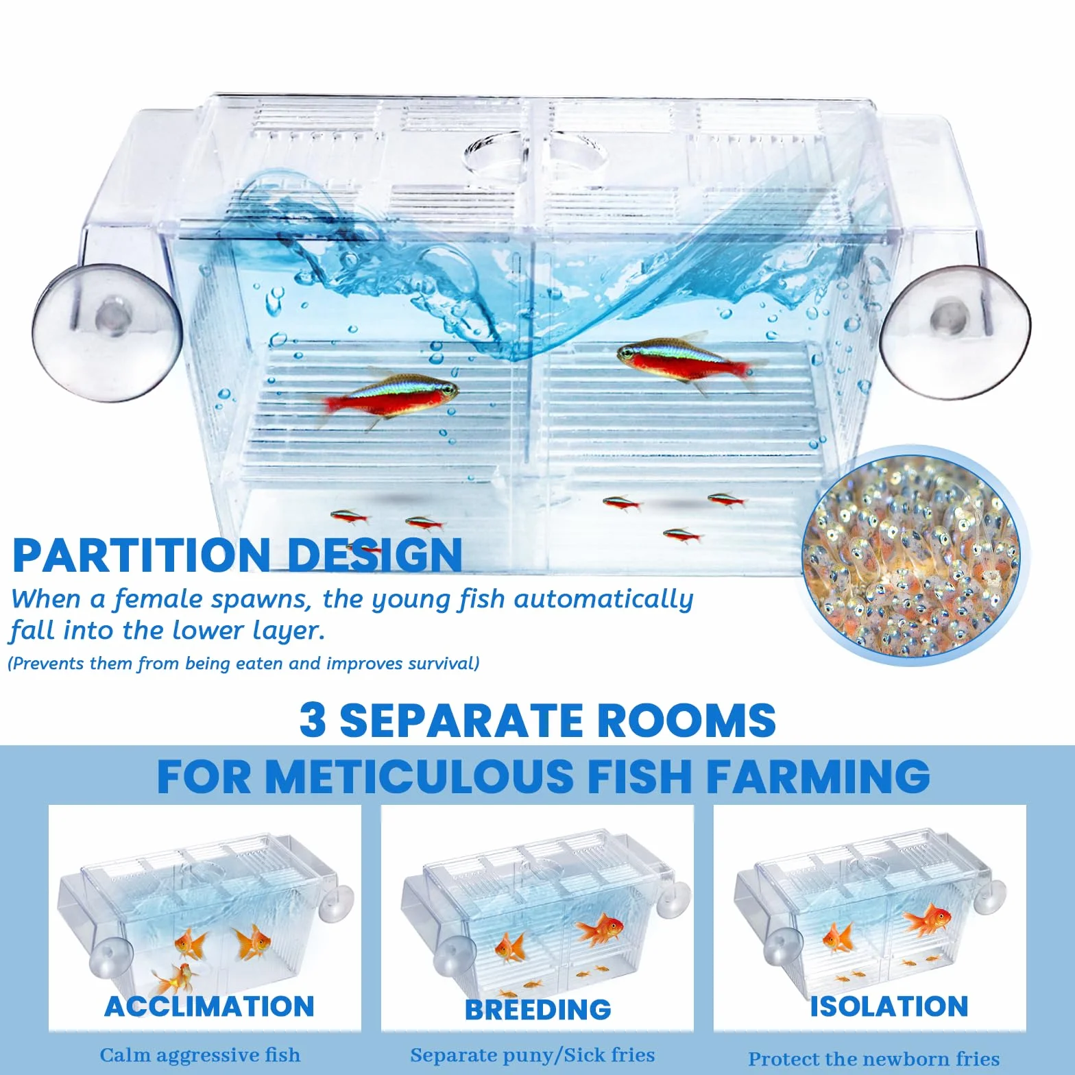Piscina per allevamento, acquario, piscina per bambini in quarantena, per pesci incinti, piccoli pesci, gamberetti, pesci pagliaccio, 220 x 95 x 100 mm