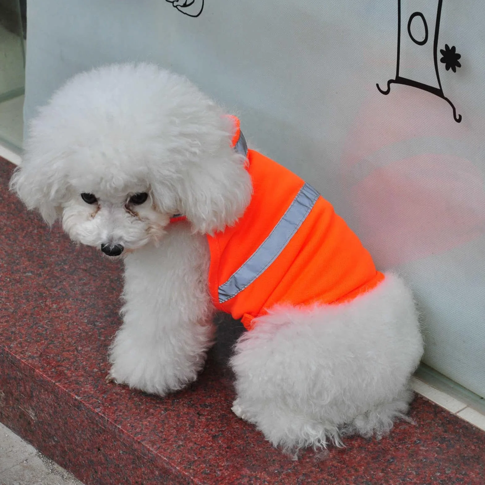 Gilet riflettente per cani,Gilet arancione fluorescente per cani di visibilità per riflettente e traspirante - Forniture per animali domestici comode e leggere per attività all'aperto, cacc
