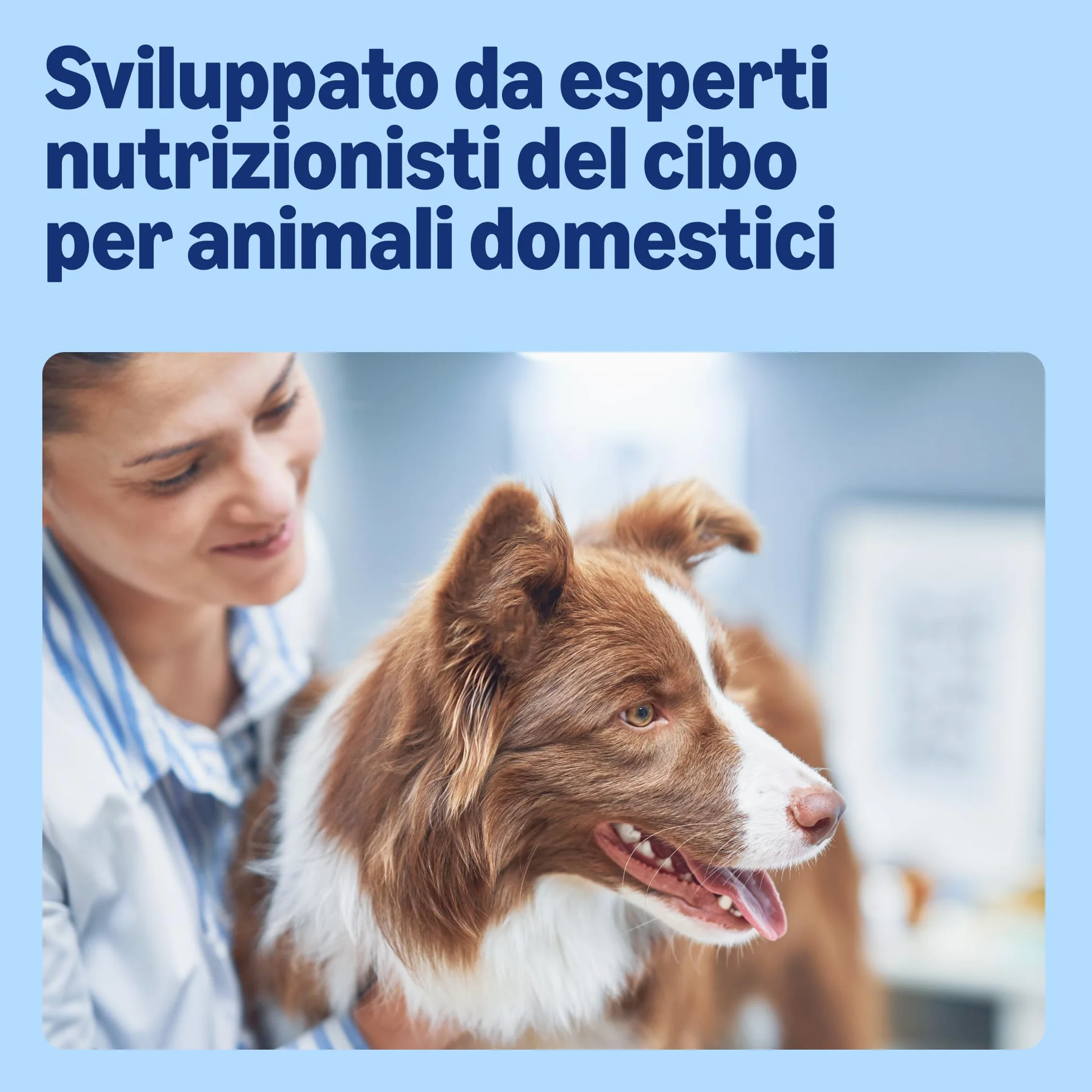 by Amazon, Cibo umido per cani, bocconcini di pollame in salsa, 1,24 kg