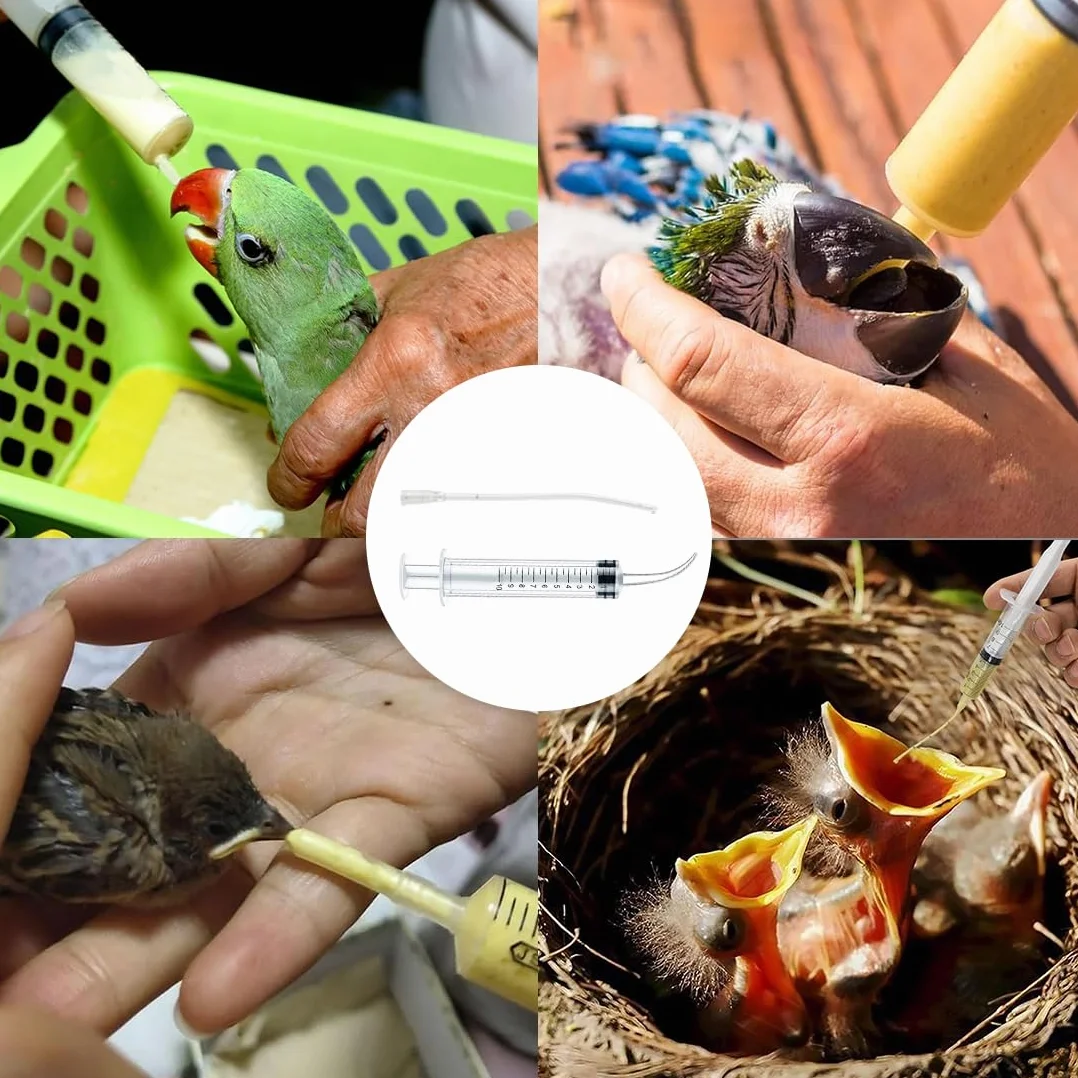 2 pezzi siringhe per uccelli giovani, inclusi 10 tubi di alimentazione, contenitore per mangime, strumento manuale per l'alimentazione, adatto per pulcini e pappagalli, facile da pulire