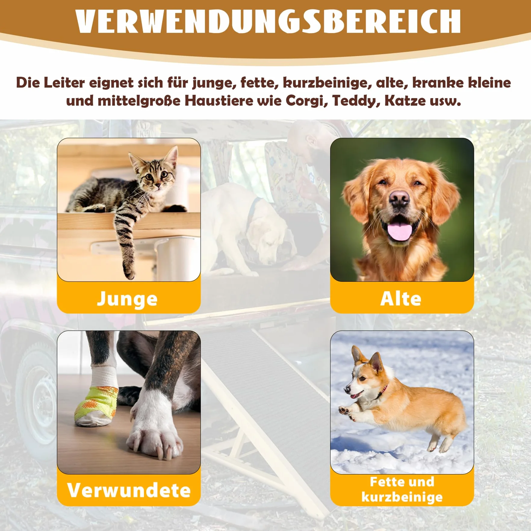 Froadp Scaletta per Cani di Piccola Taglia Rampa per Cani in Legno di Pino con Tappeto Antiscivolo Scale Pieghevoli per Gatti Regolabile in Altezza Animali Domestici Scala per Letto o Divano