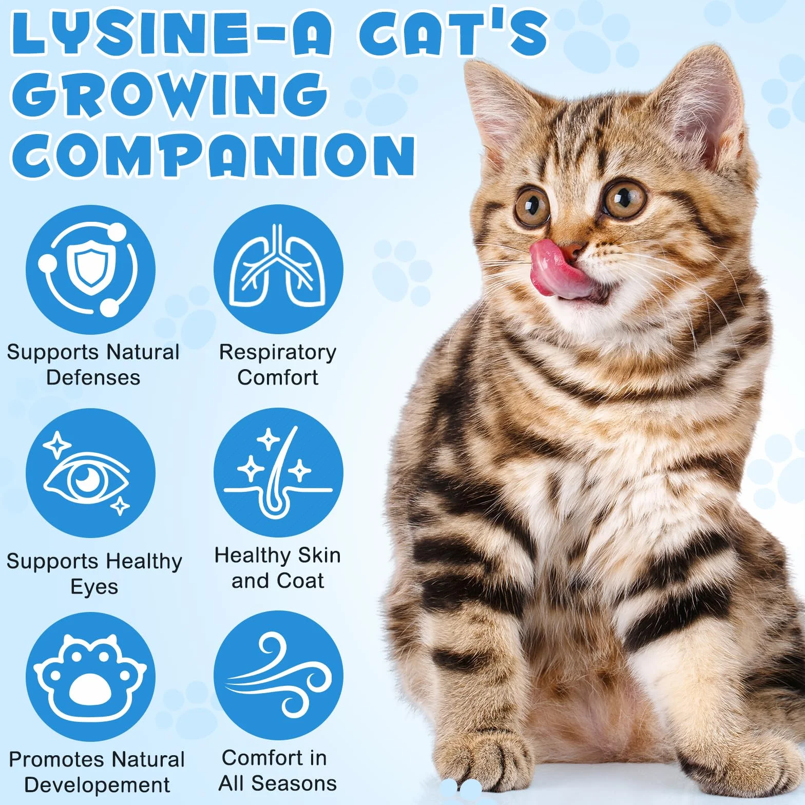 Lysin Cat - Gocce L-lisina per gatti, Supporta la salute del sistema immunitario, Allevia le allergie, favorisce la funzione respiratoria, mantiene la salute della pelle e del pelo 60 ml