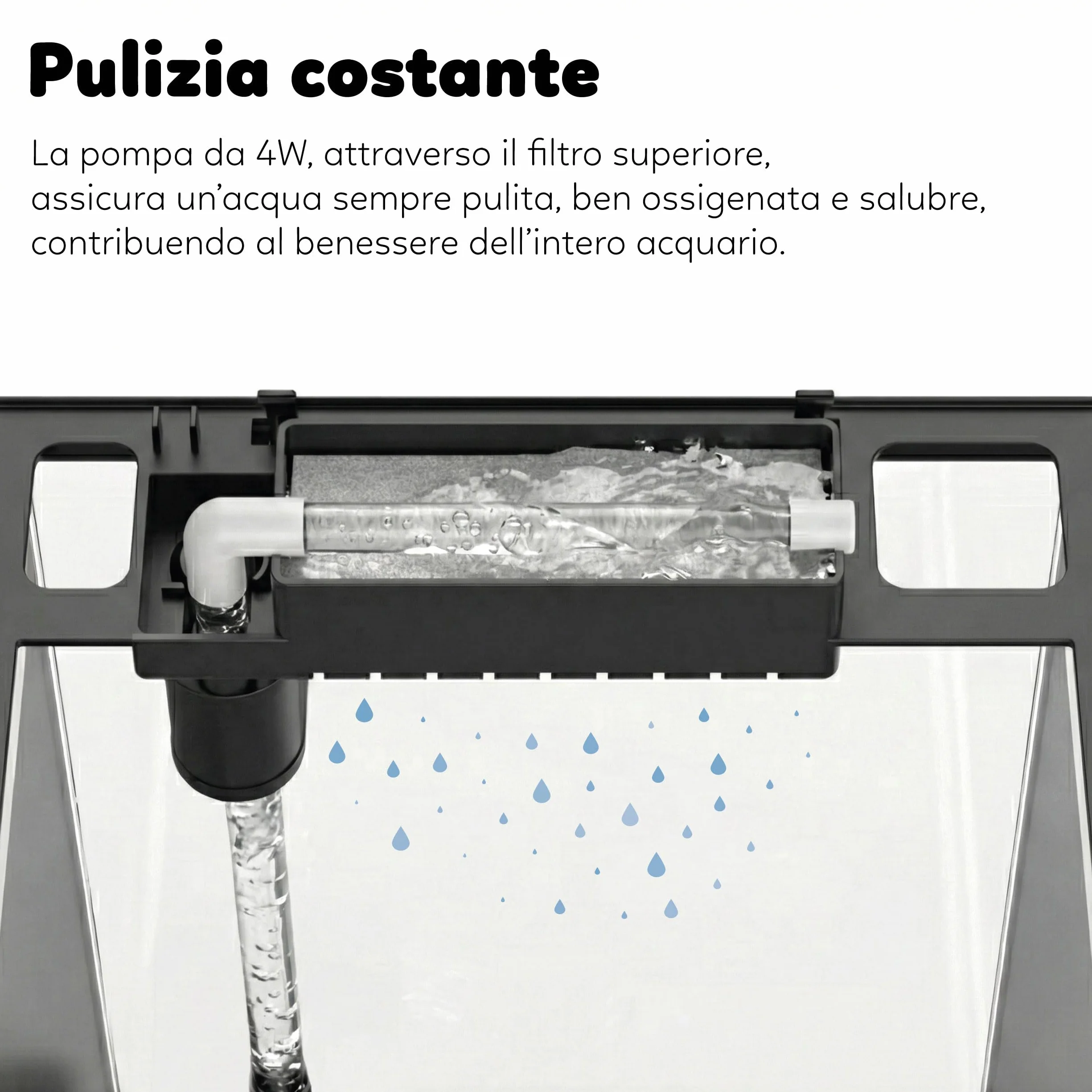 AQPET CurVe Acquario in Vetro Curvo 35L con Filtro Superiore Integrato e LED 6W – Acquario di Design da Scrivania con Pompa Inclusa e Coperchio per Distributore Automatico Mangime (Nero)