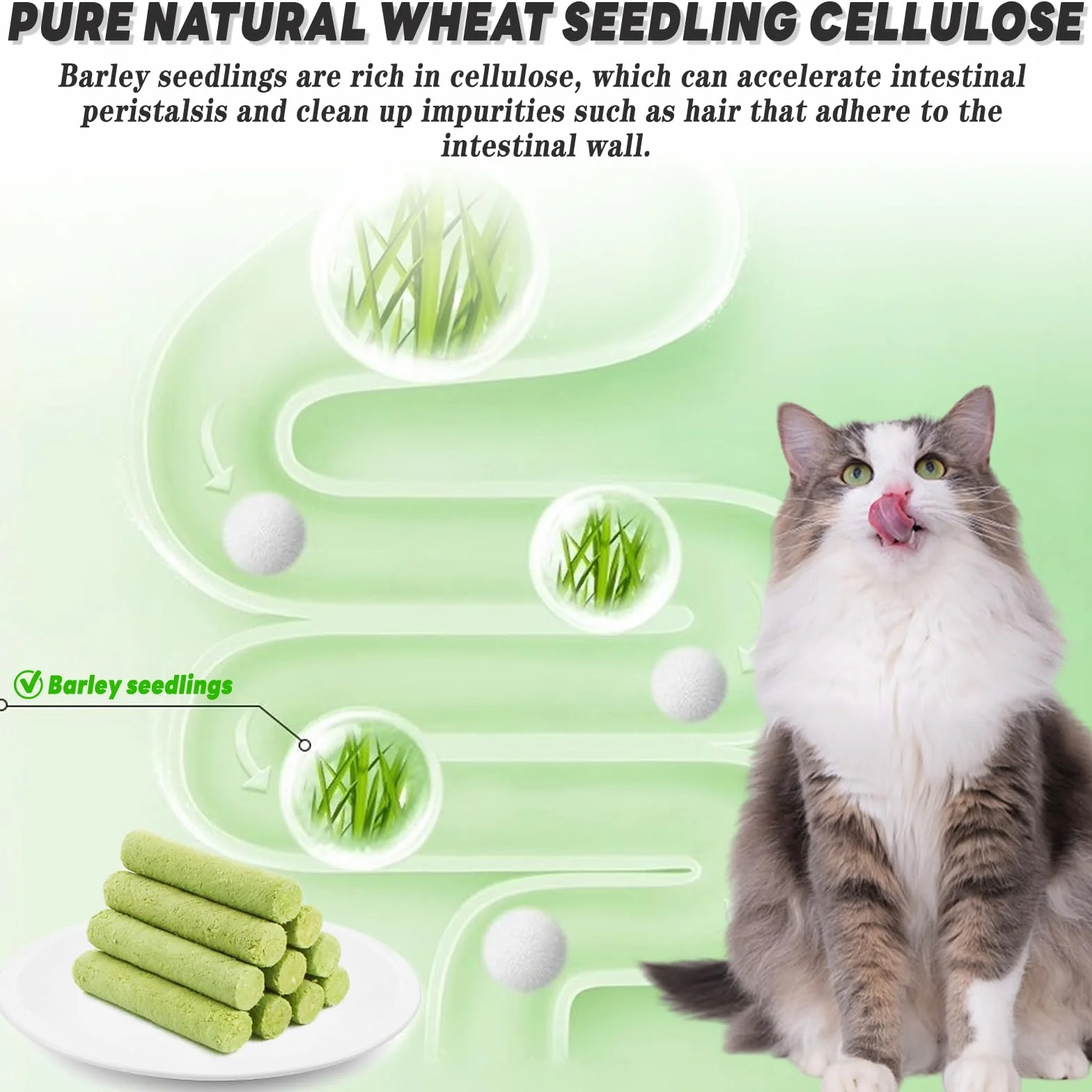 Bastoncini di Erba Gatta, 12 Pcs Stick Gatto Snack, Snack Liofilizzato con Erba Gatta per la Pulizia dei Denti, Promuovere l'assorbimento dei Nutrienti e Migliorare la Digestione