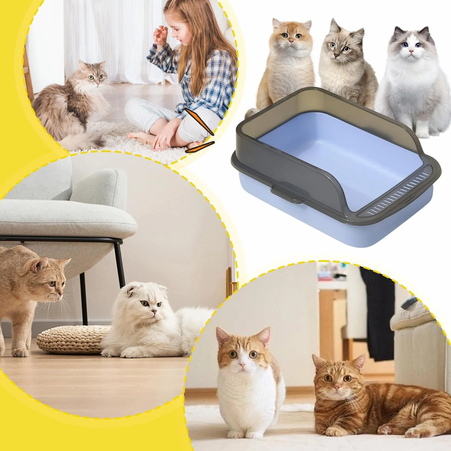 Lettiera Per Gatto Aperta Grande - Toilette Igienica Per Gattini Facile Da Pulire, Lettiera Con Bordo Rialzato, Cassettina Anti-Schizzo | Lettiera Con Facciata Alta Per Gatti Domestici, Box Gatto Cont