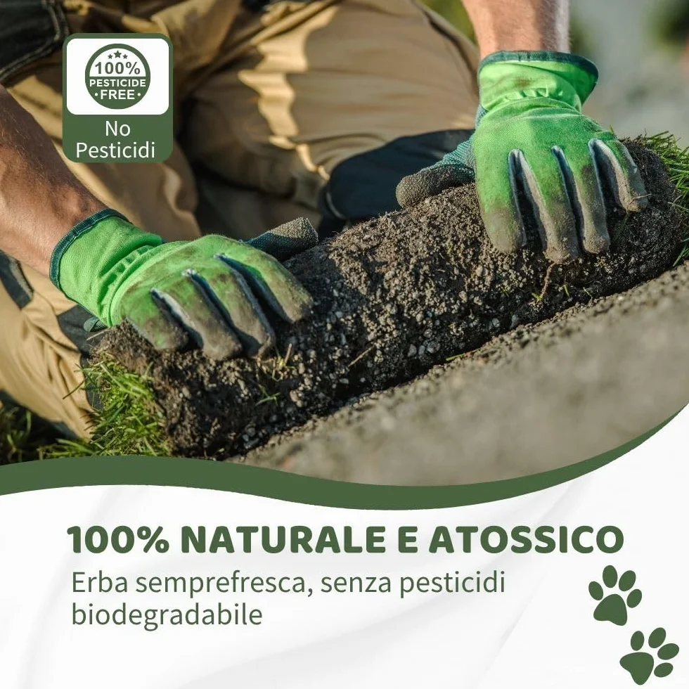 Kit M coniglio Petzolla - Cuccia per conigli estiva in Vera Erba con Vassoio Riutilizzabile 92x52 cm, Lettiera coniglio Naturale e Atossica, Tappeto per conigli da interno dura fino a 5 mesi
