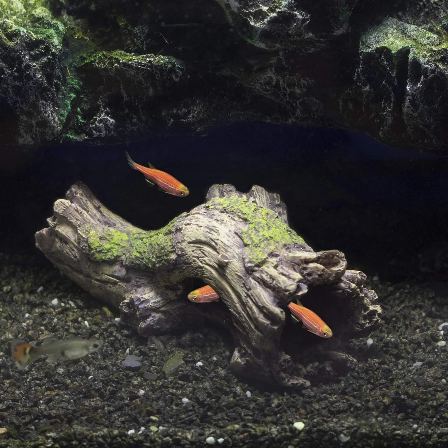 hygger Arredo per Acquario, Acquario Grotta di Resina Acquario Ornamento Tronco di Simulazione per Acquario Paesaggistica Decorazione (Tronco)