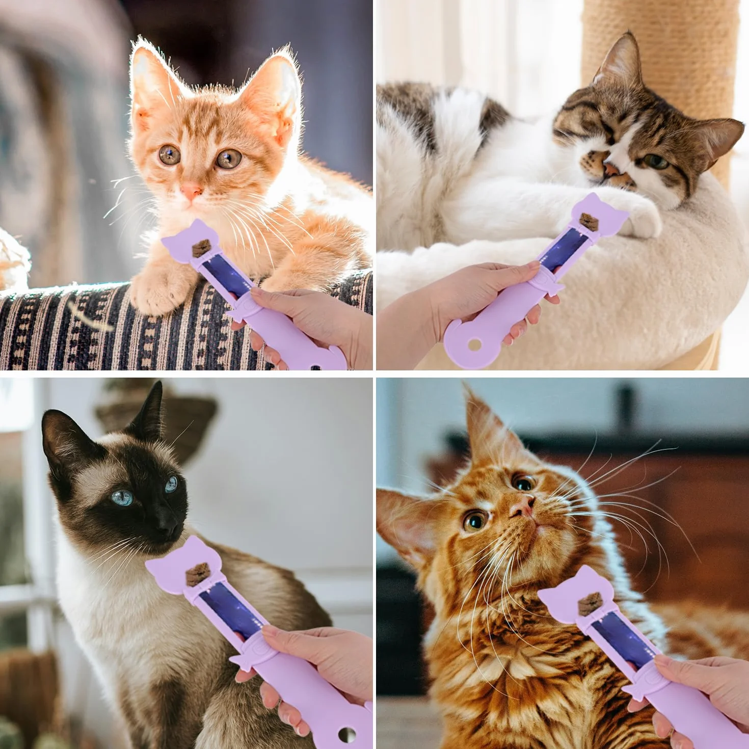 Cucchiaio da Spremere per Dolcetti per Gatti, Carino Multifunzionale Cucchiaio Cibo Gatti for Cibo Umido Snack Leccabili e Snack Liquidi (Viola)