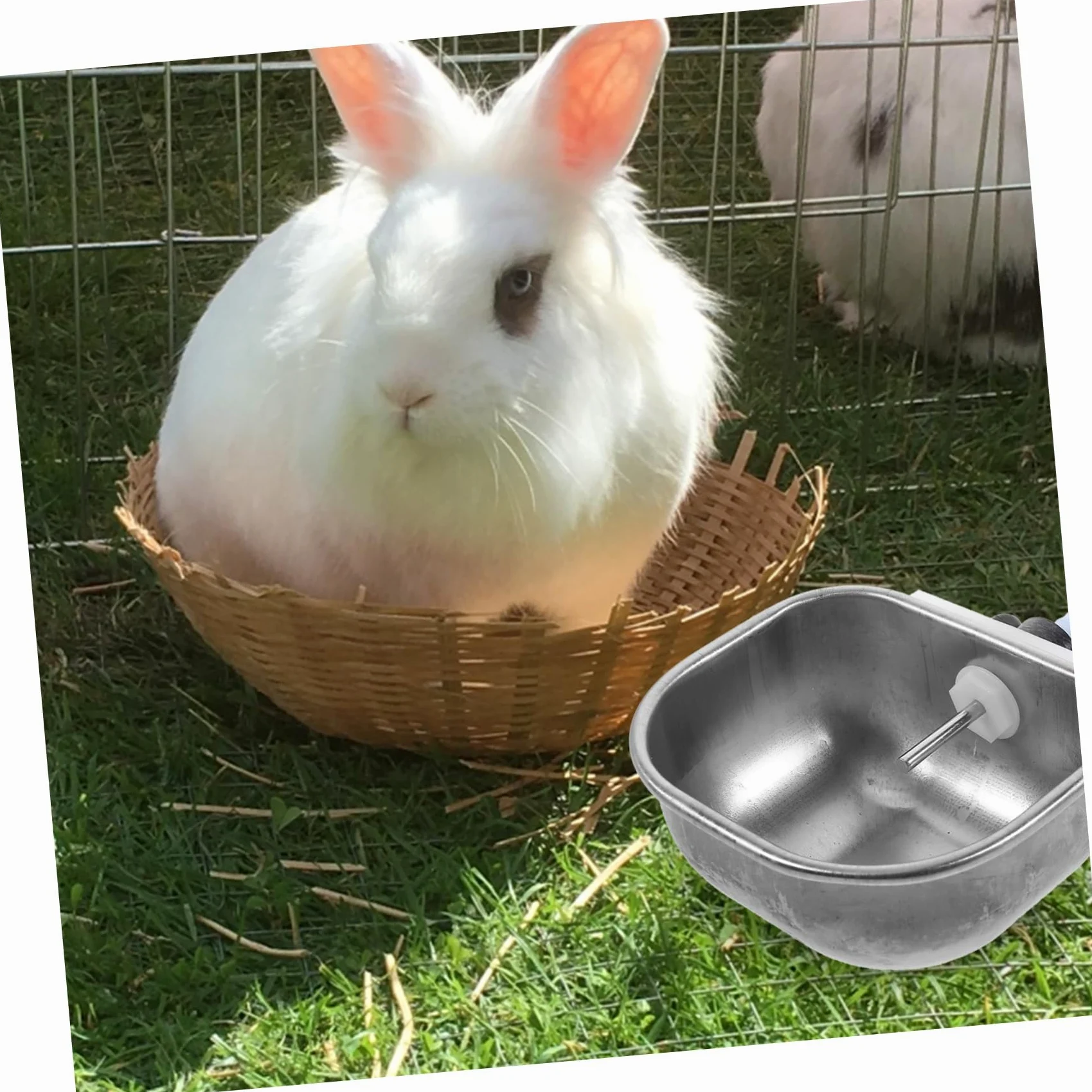 VANZACK 6pezzi Distributore Automatico Per Conigli Ciotola Inossidabile Da Facile Da Installare e Utilizzare Per Gabbie Di Piccoli Animali Domestici