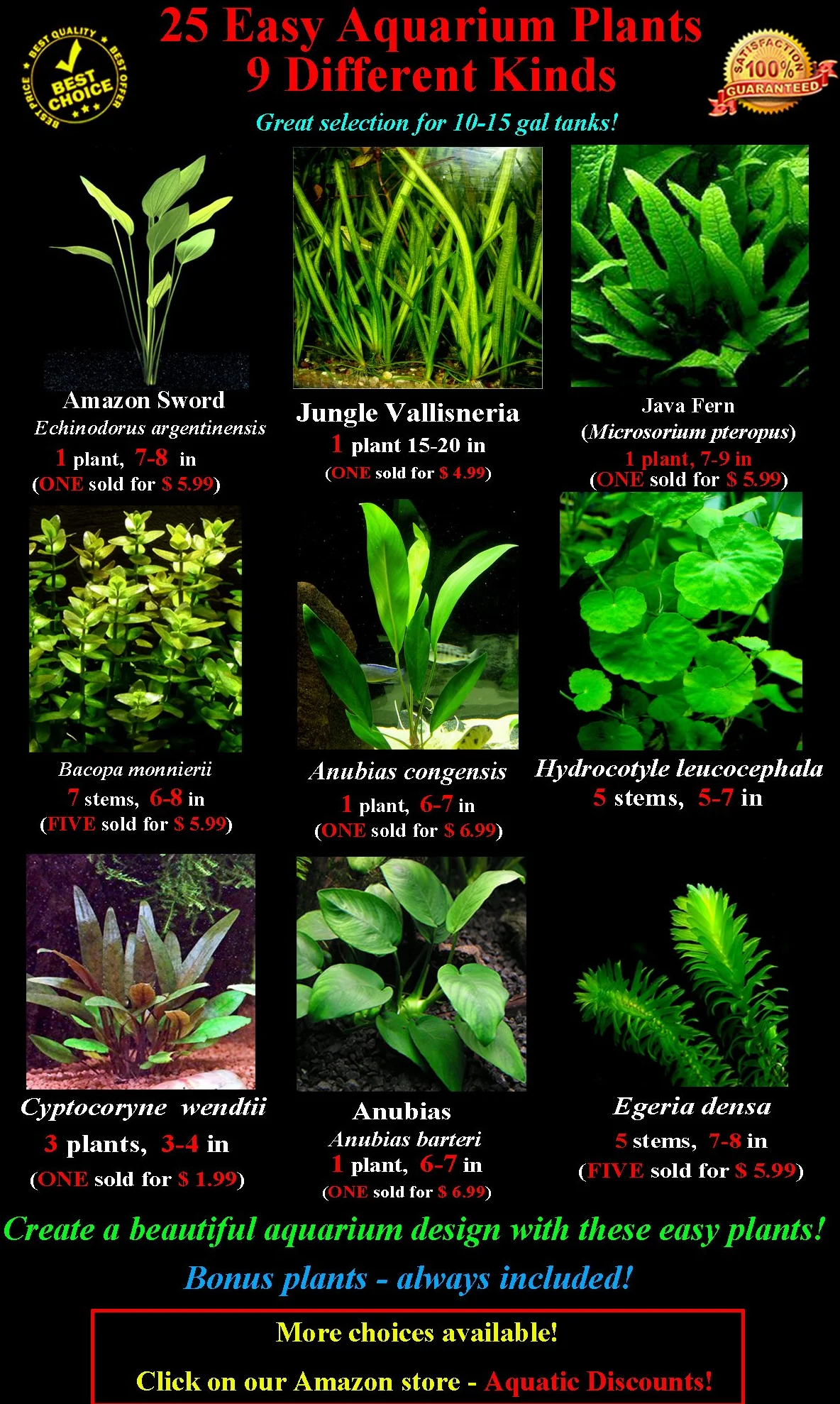 25 piante vive per acquario / 9 diversi tipi – Echinodorus amazonicus, Anubias, felce di Giava, Ludwigia e molte altre Un bel gruppo di piante acquatiche per acquari da 45 – 68 litri.