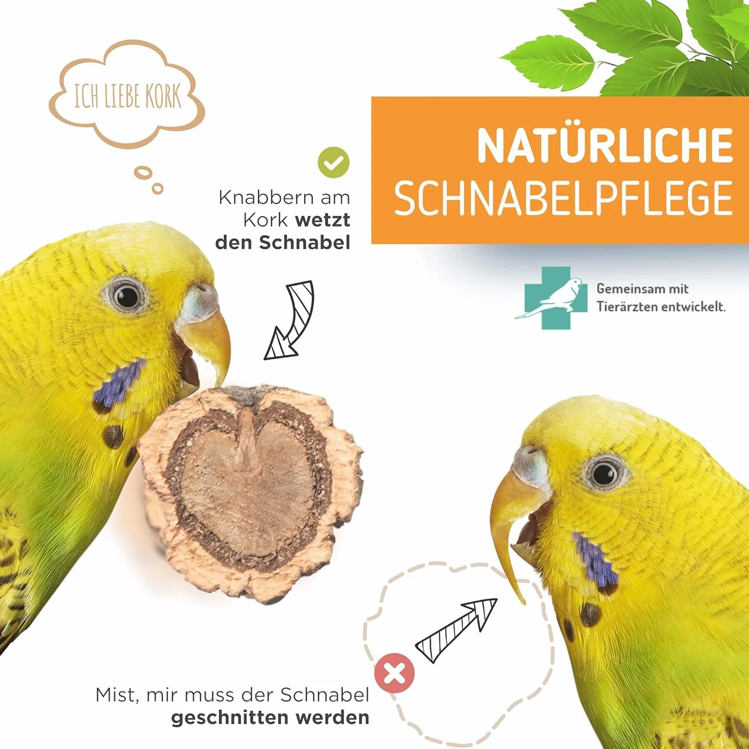 Vogelgaleria® 2 posatoi in sughero con corteccia di sughero per sedersi e sgranocchiare, per uccelli e uccelli, per la cura degli artigli, in sughero