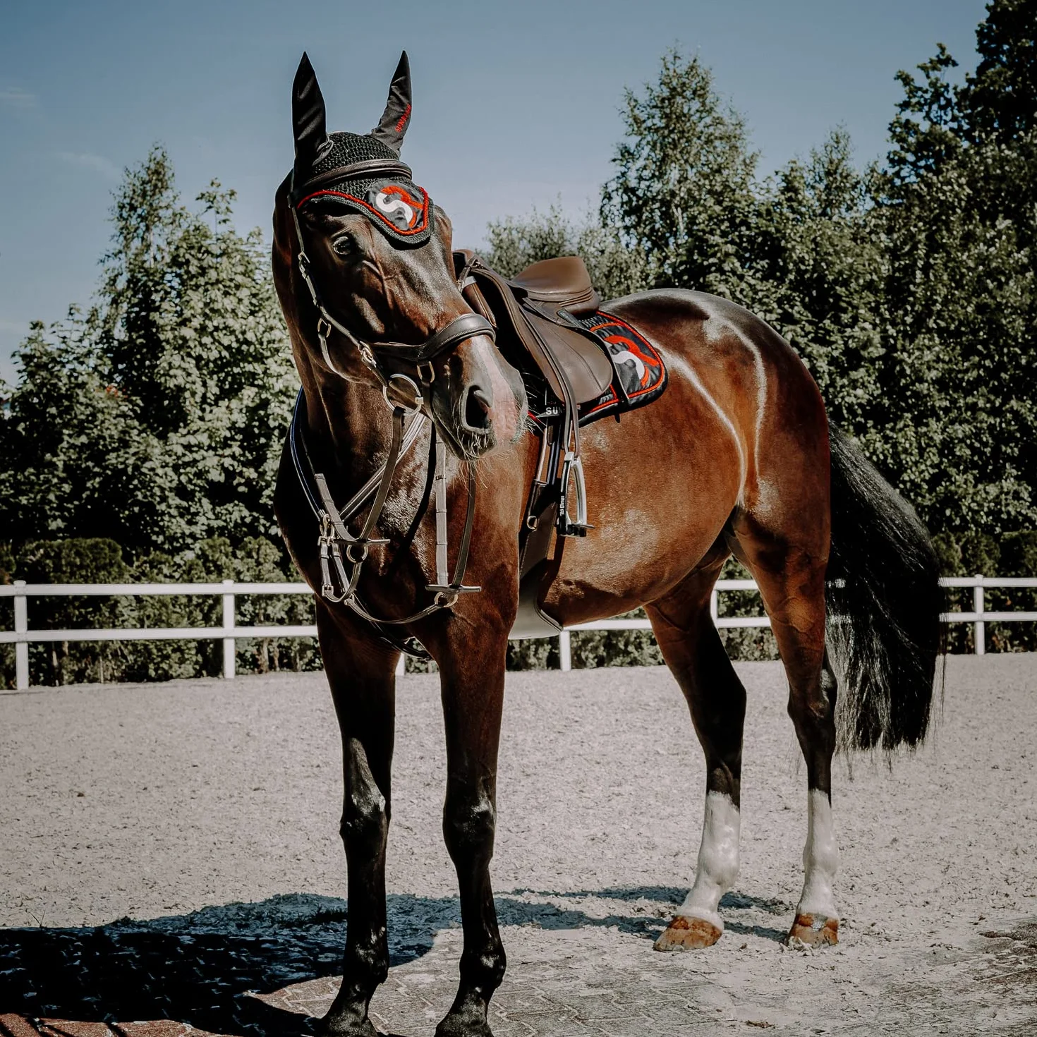 SUNRIDE Pettorale cavallo in pelle con martingala (Windsor) – attacco a 3-punti – forchetta martingala rimovibile – inserti elastici – regolabile (Cob, marrone)