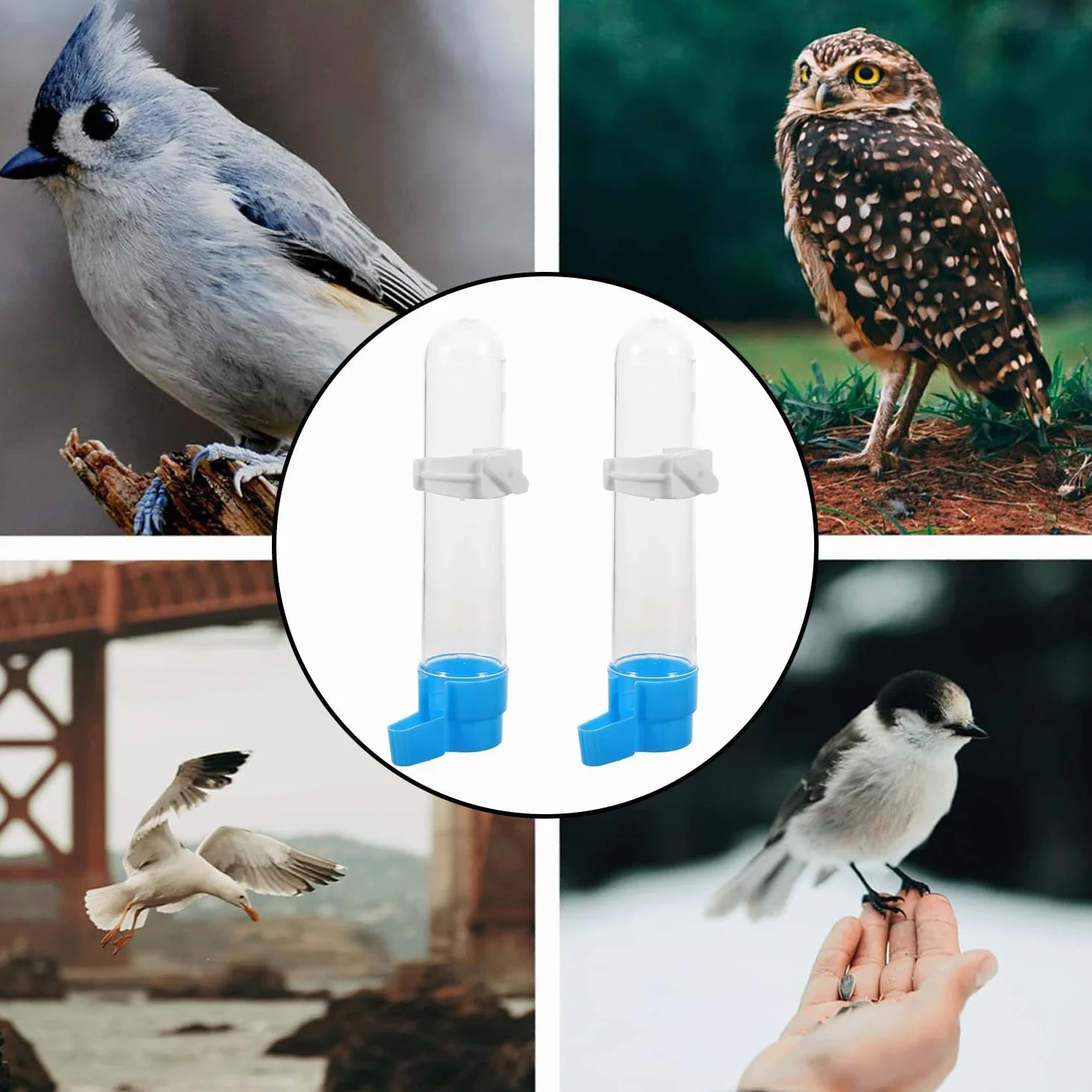 2 Pezzi Abbeveratoio per Uccelli, Distributore Acqua Uccelli, Abbeveratoi per Uccelli da Appendere, Dispenser D'acqua per Gabbie per Uccelli, per Pappagalli, Pappagallini