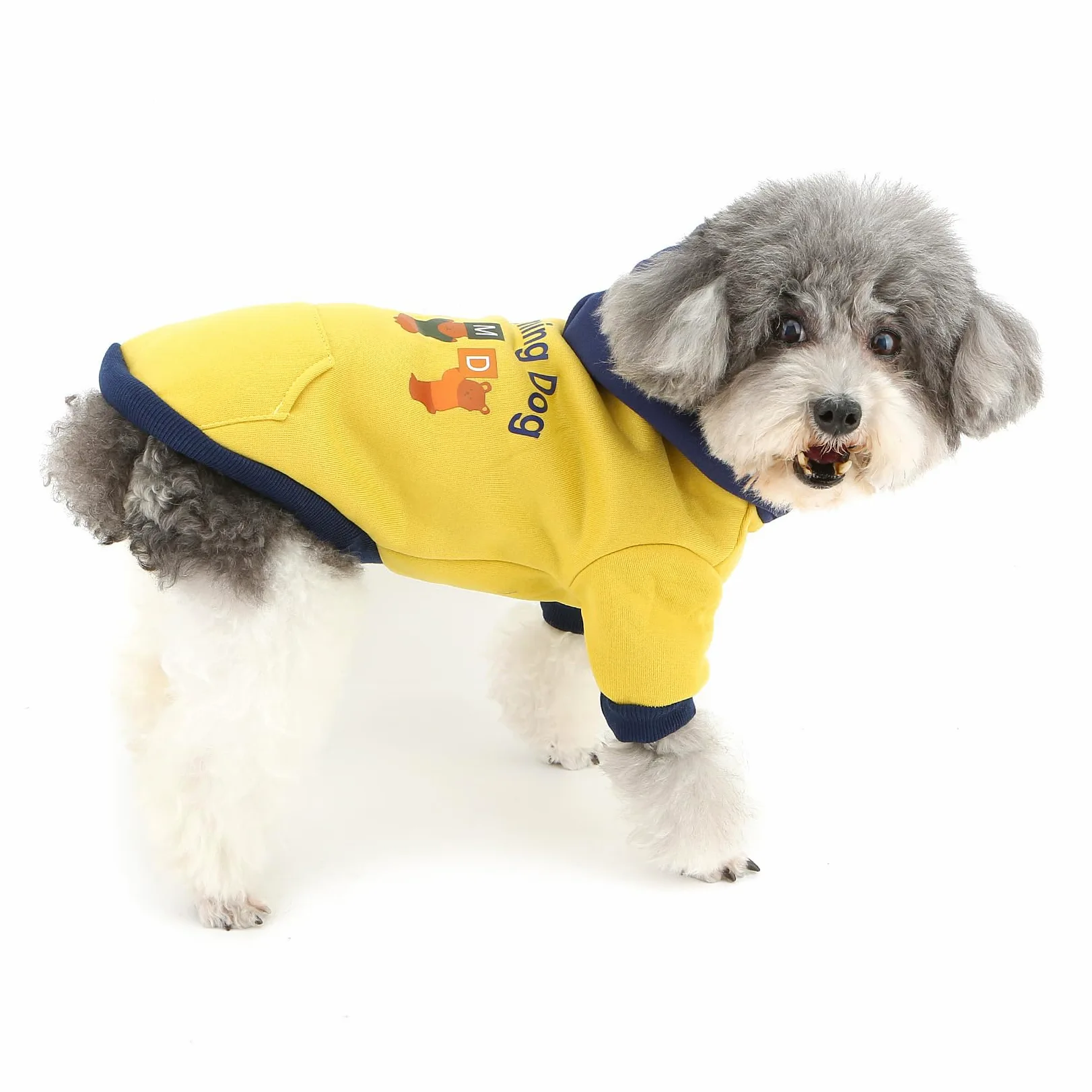XHYRHTS Felpa con cappuccio in pile per cani con stampa simpatico cartone animato per razze Xsmall piccole, calda felpa pullover colorblock con anello a D, morbido abito invernale per cuccioli gattini