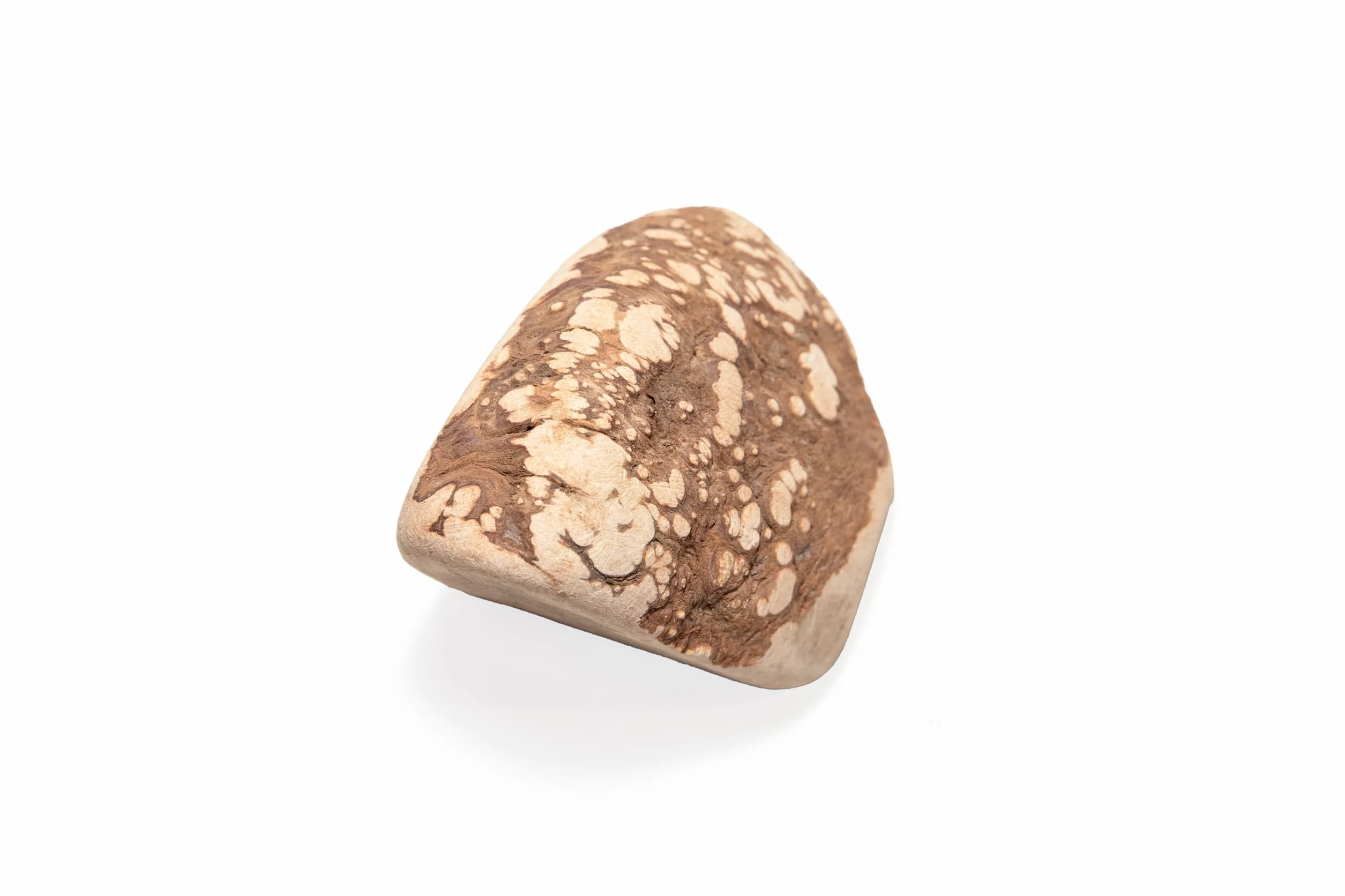 WoodWoof Masticativi Naturali per Cani - Radice di Erica M 200-400 g - Antistress, Senza Additivi, Igiene Dentale - Cani 15-25 kg